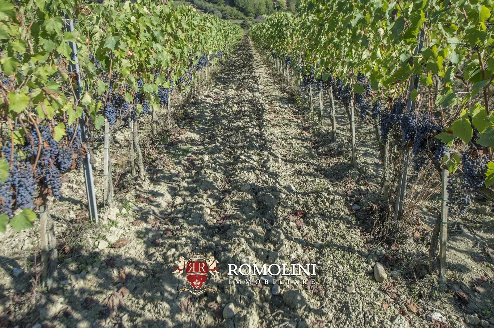 10 Bedroom Vineyard's Image 33