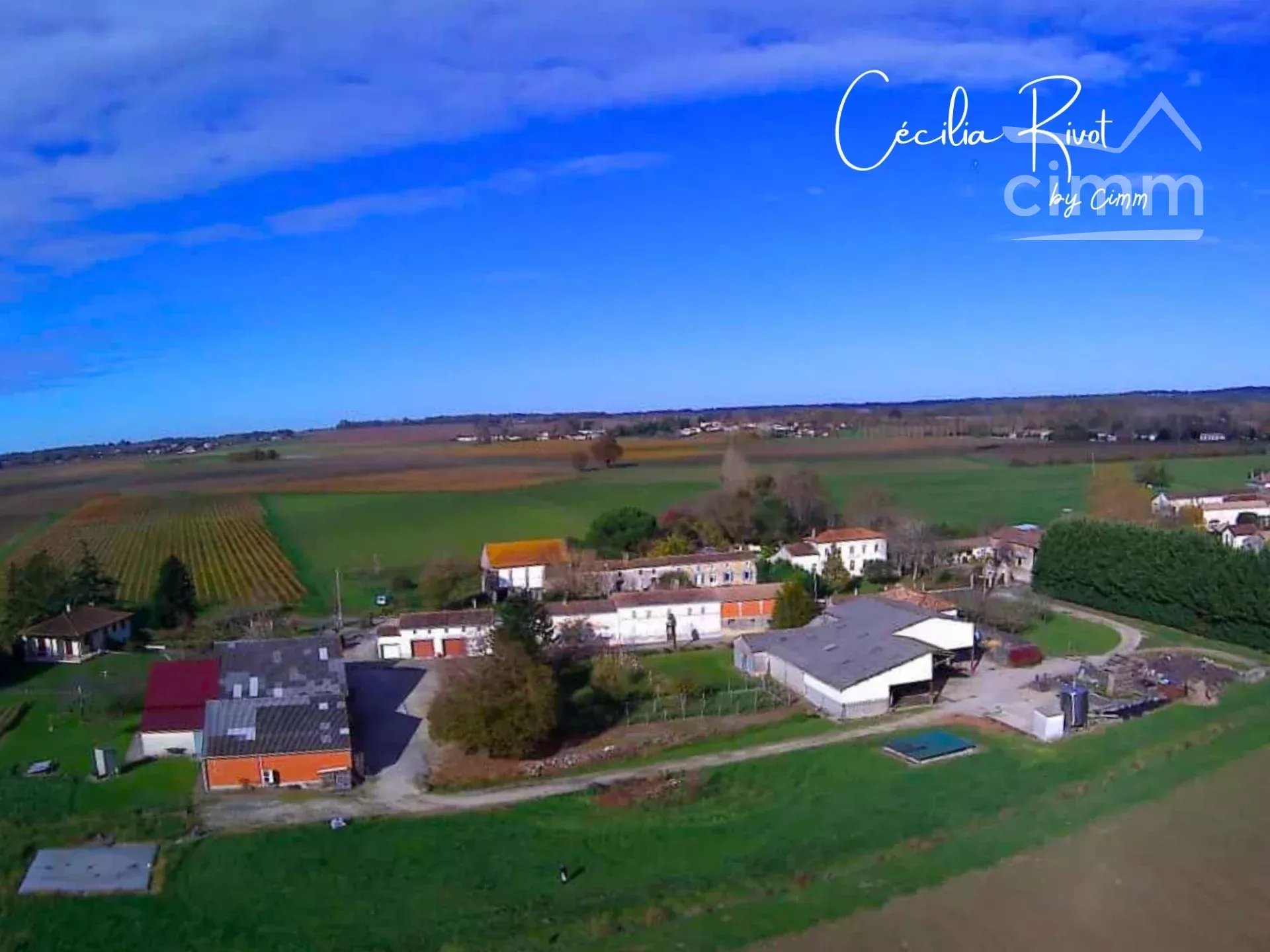 Agence immobilière de 