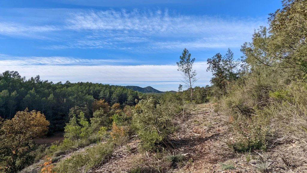 NEGOCIABLE: CARCES - Terrain en zone Naturelle de 9640m² à la vue imprenable