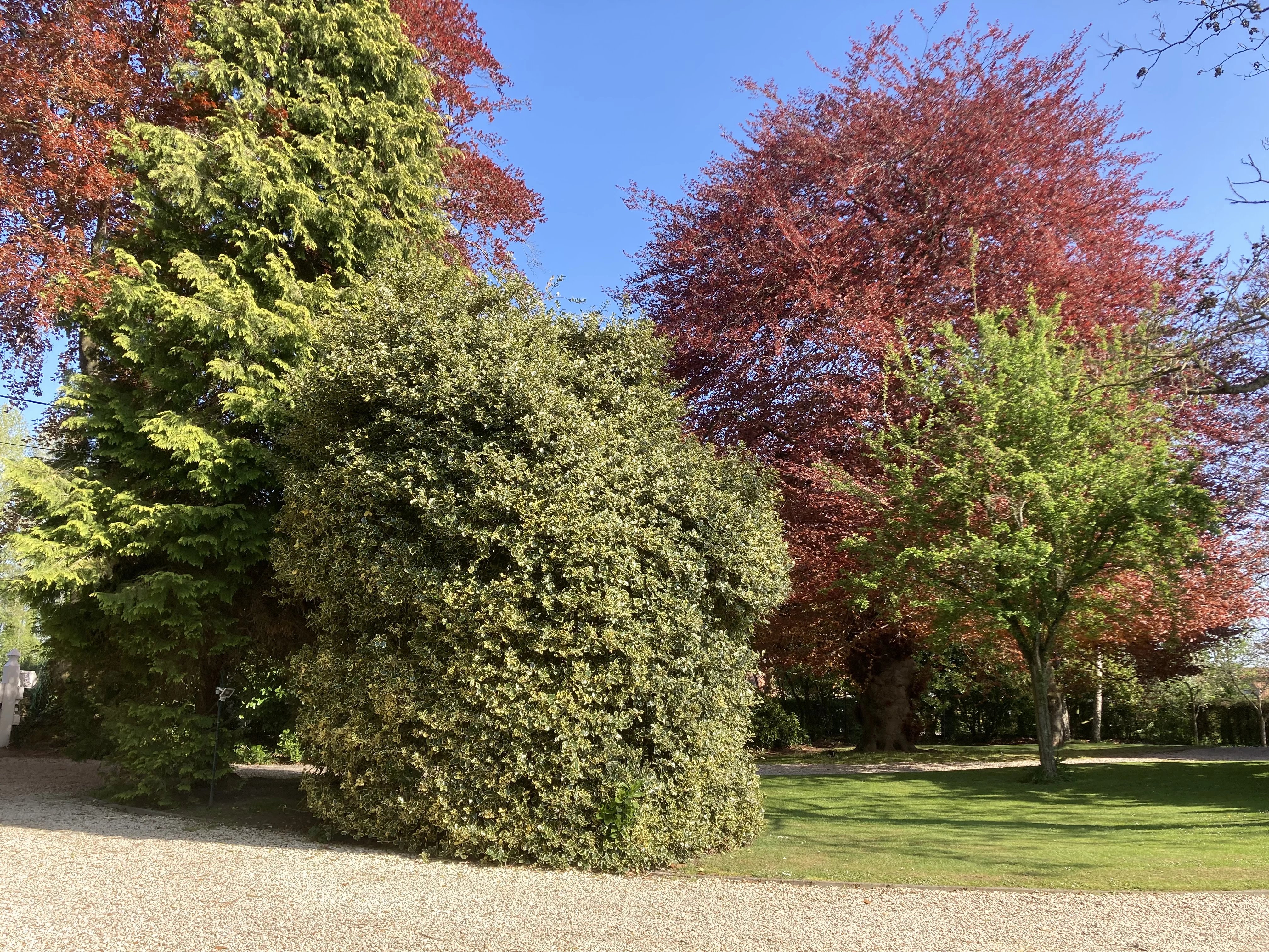 Manor in Jurbise I Elegance and historic charm