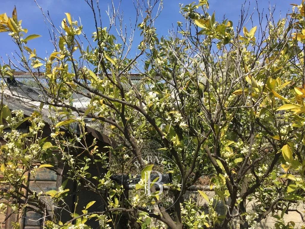 Villa Sanremo - picture 22