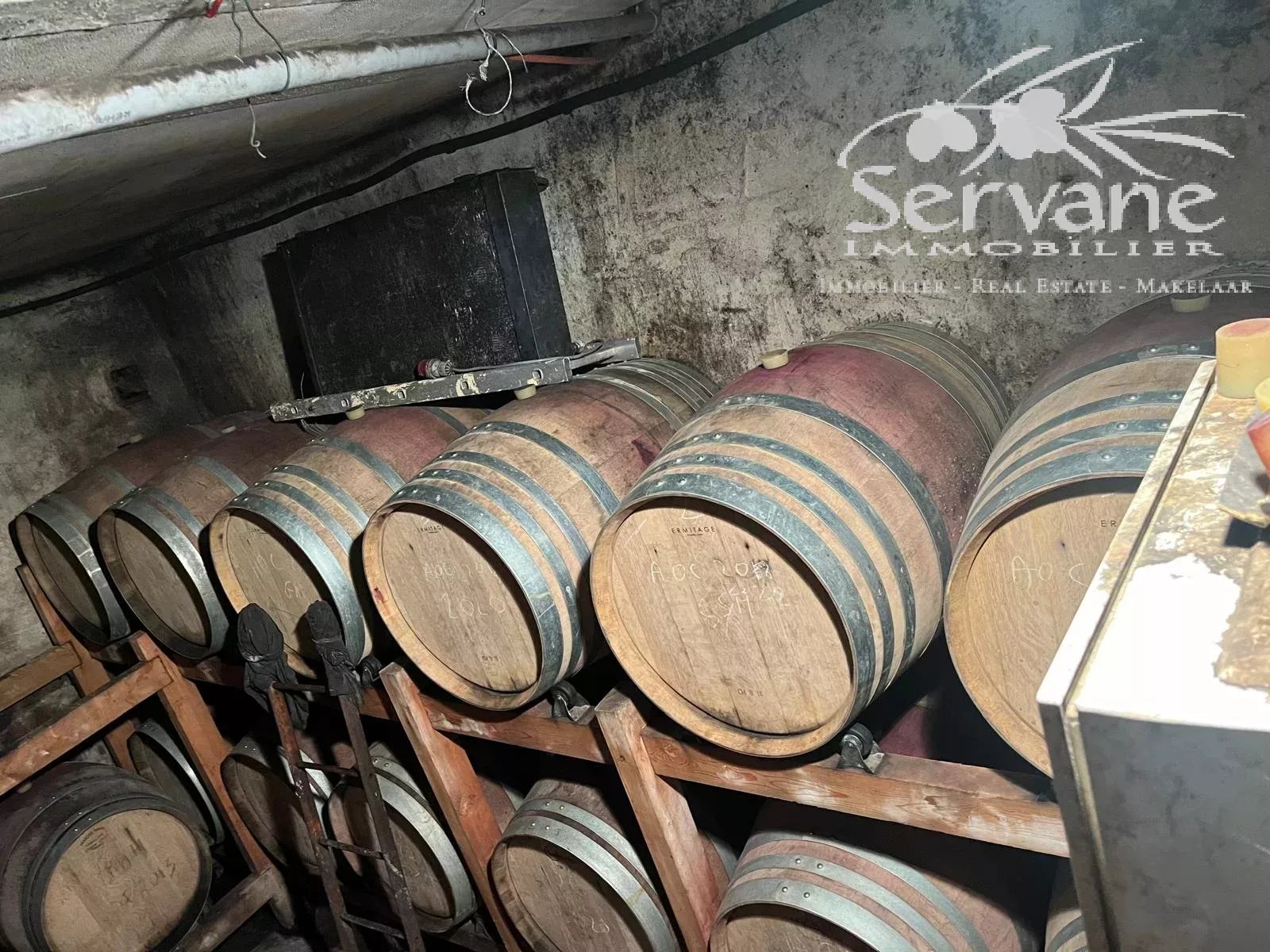 VINEYARD IN PROVENCE CLOSE TO COTIGNAC TO SELL