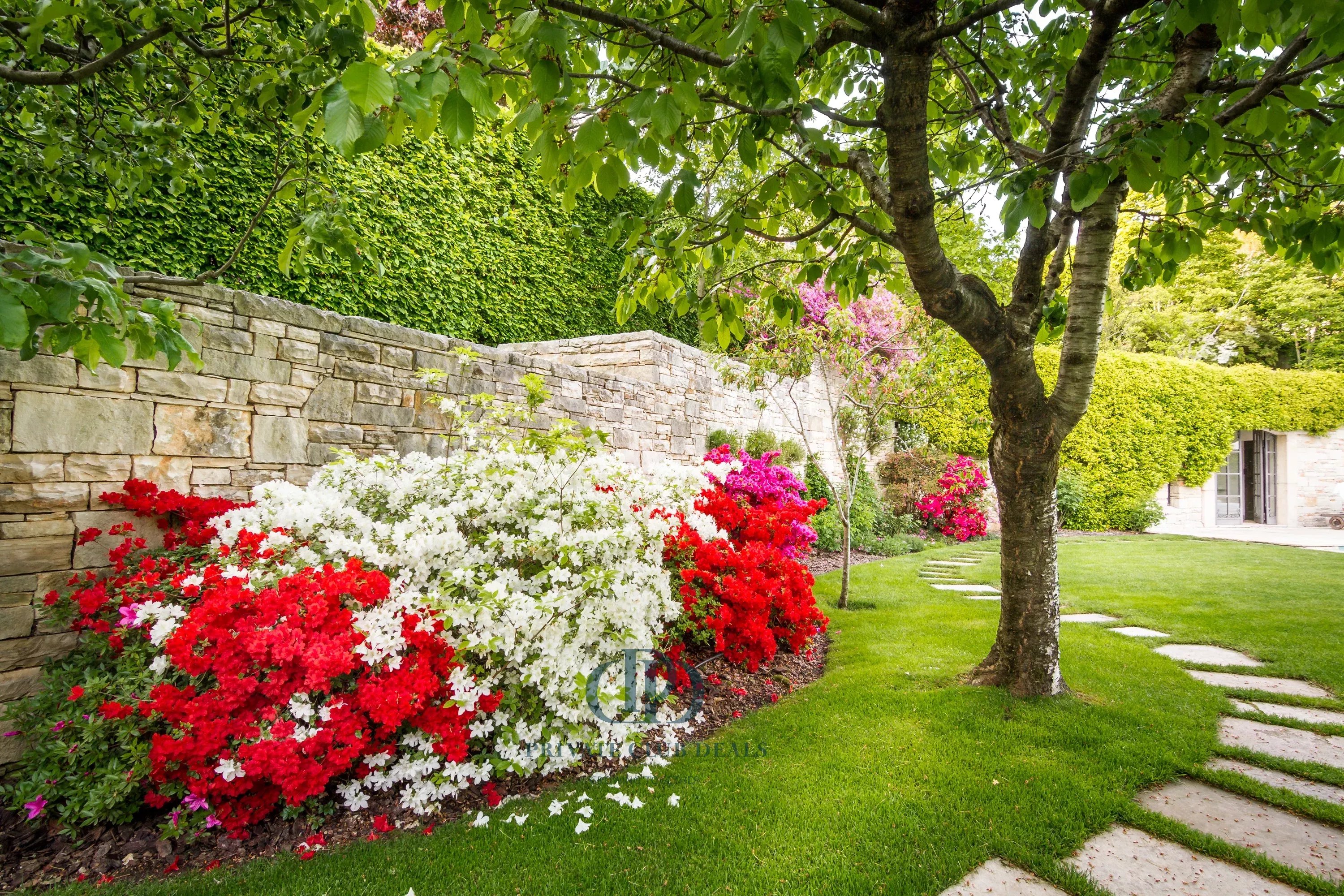 Villa Cernobbio - picture 4