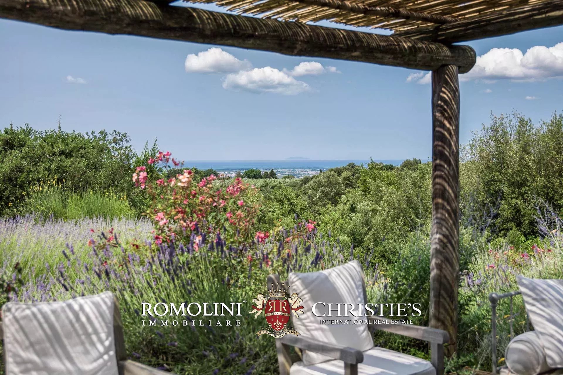 EQUESTRIAN SEA VIEW WINE ESTATE WITH VINEYARDS FOR SALE CLOSE TO BOLGHERI, TUSCANY