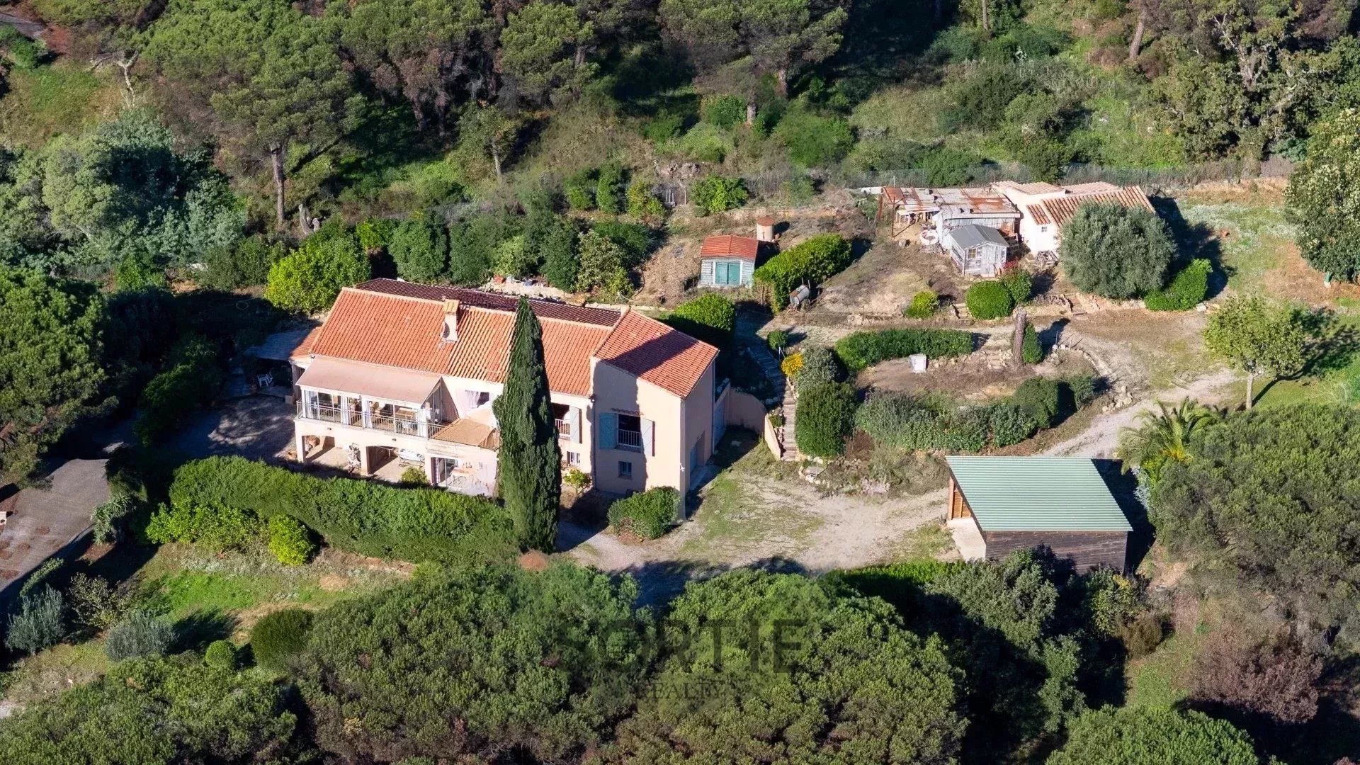 Agence immobilière de Sortie Realty