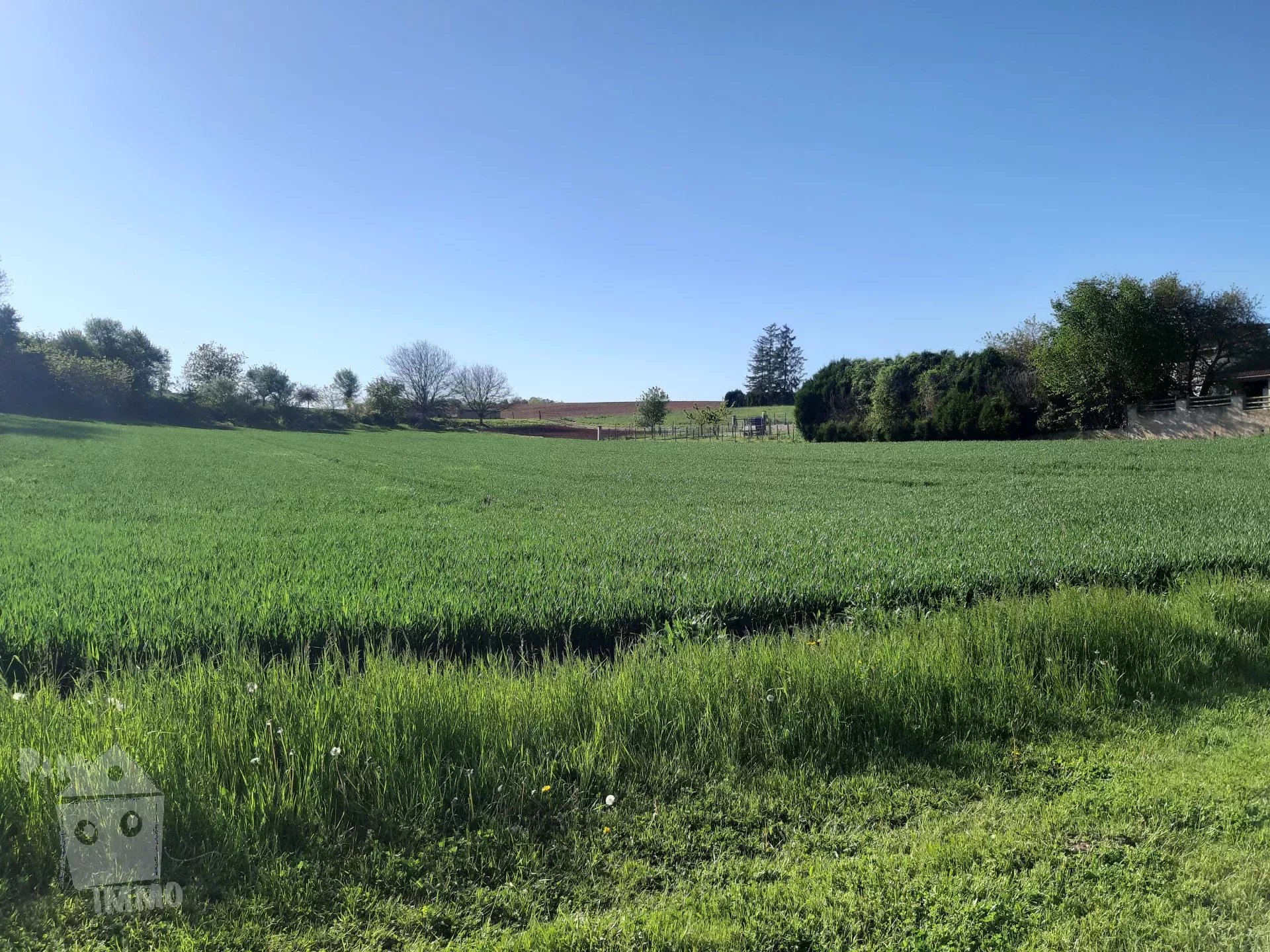 Agence immobilière de 