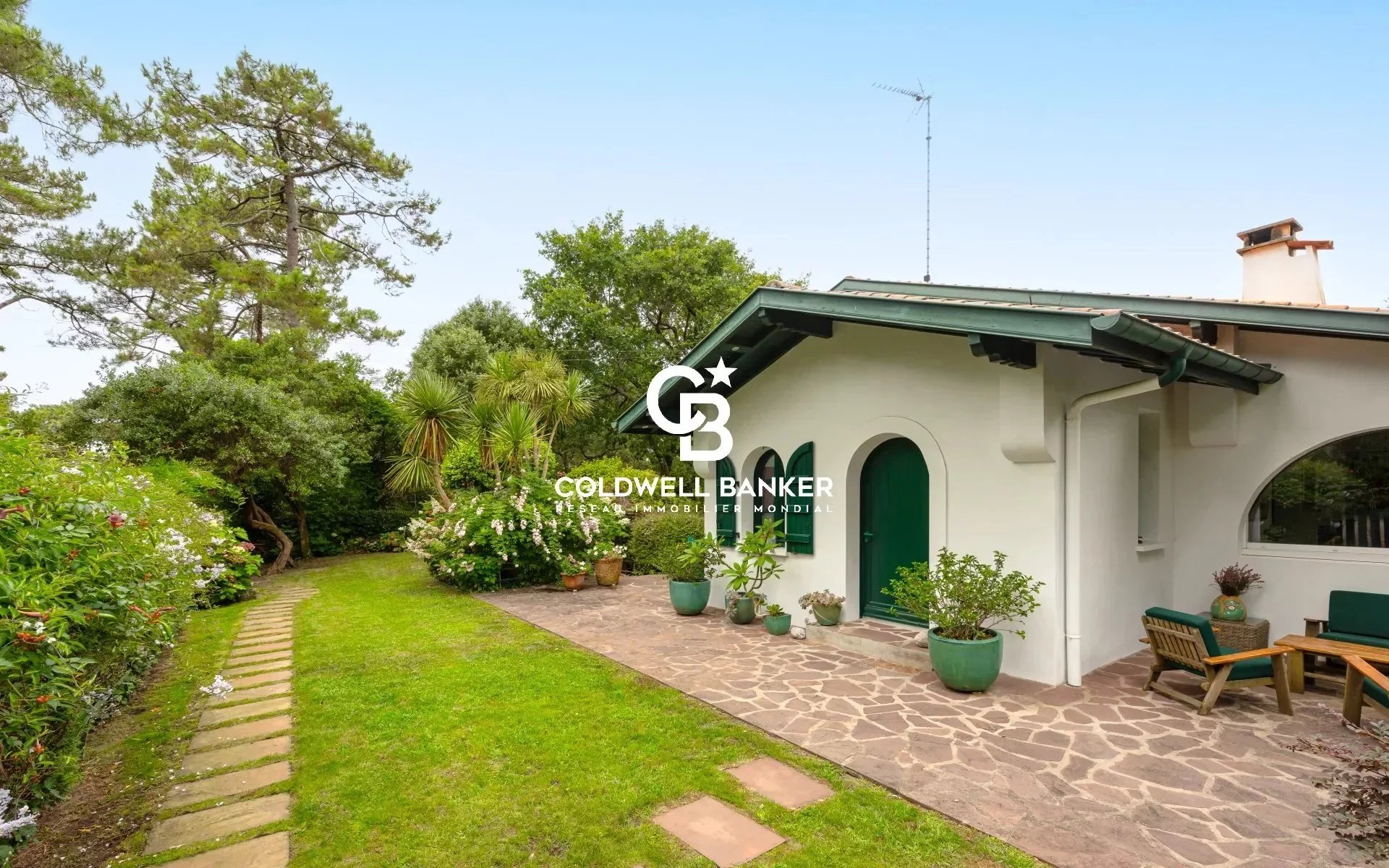 Agence immobilière de Silver Coast Int. Realty