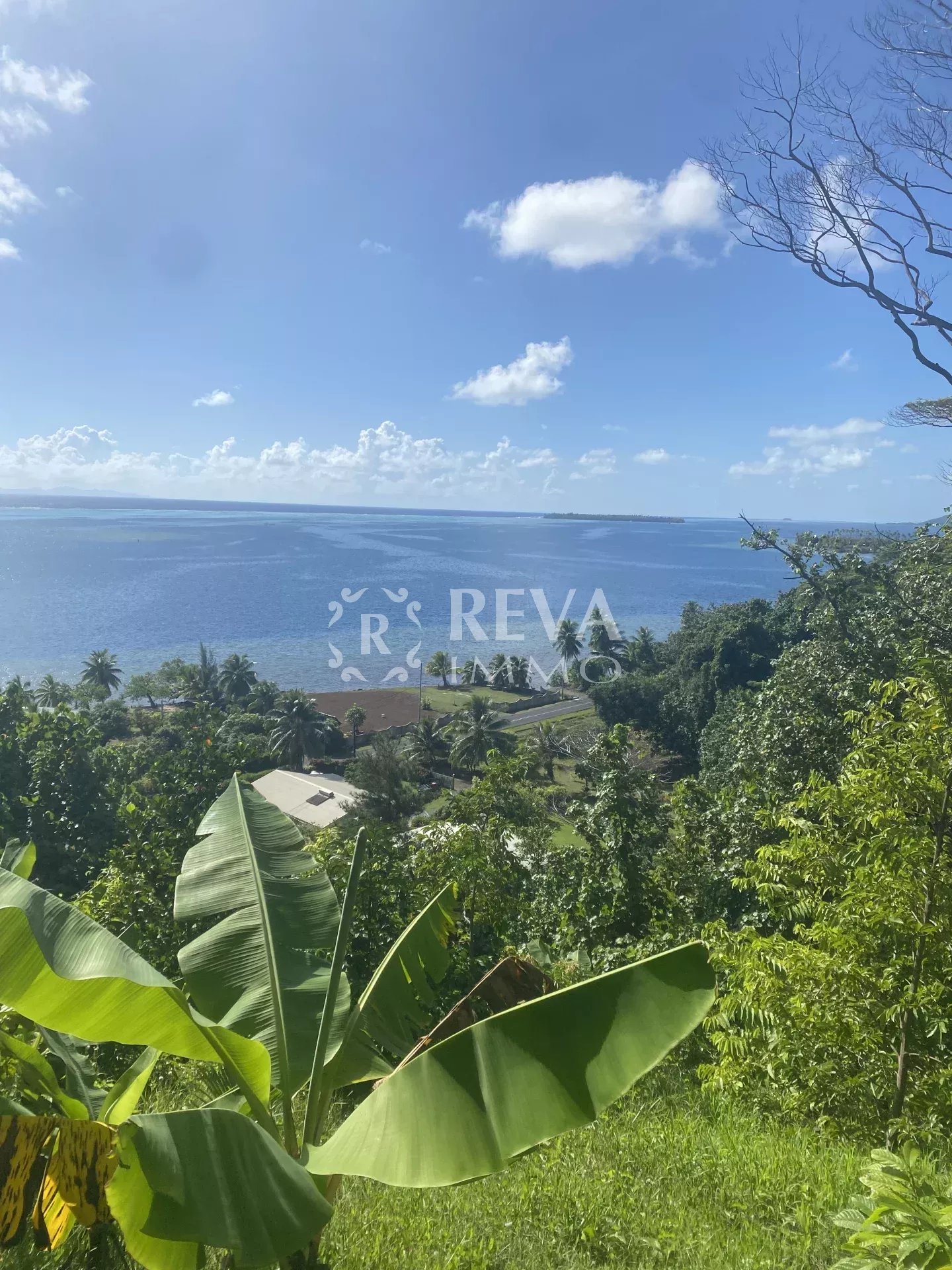 TERRAIN  A VENDRE - RAIATEA