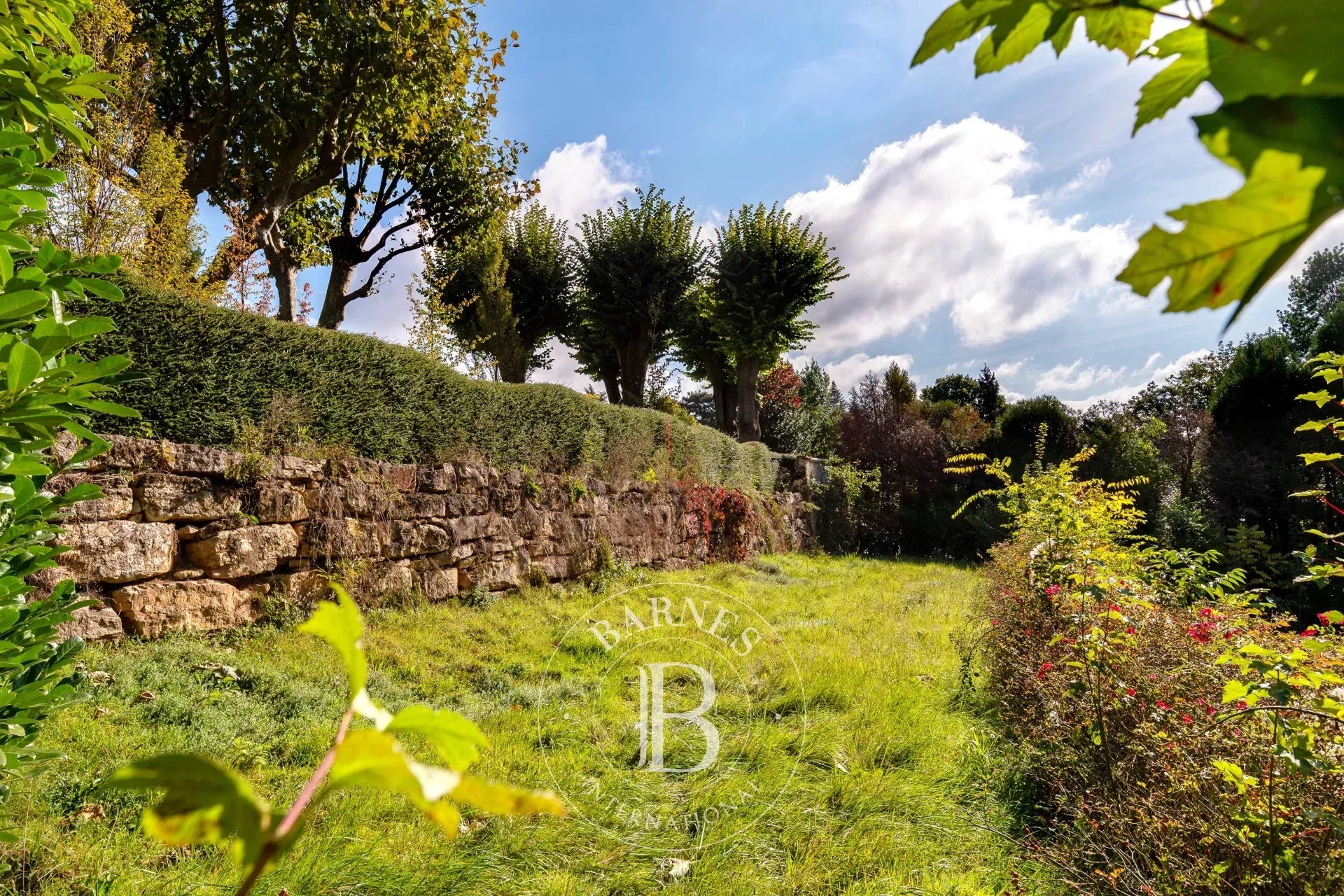 Arazi Saint-Cyr-au-Mont-d'Or - picture 9