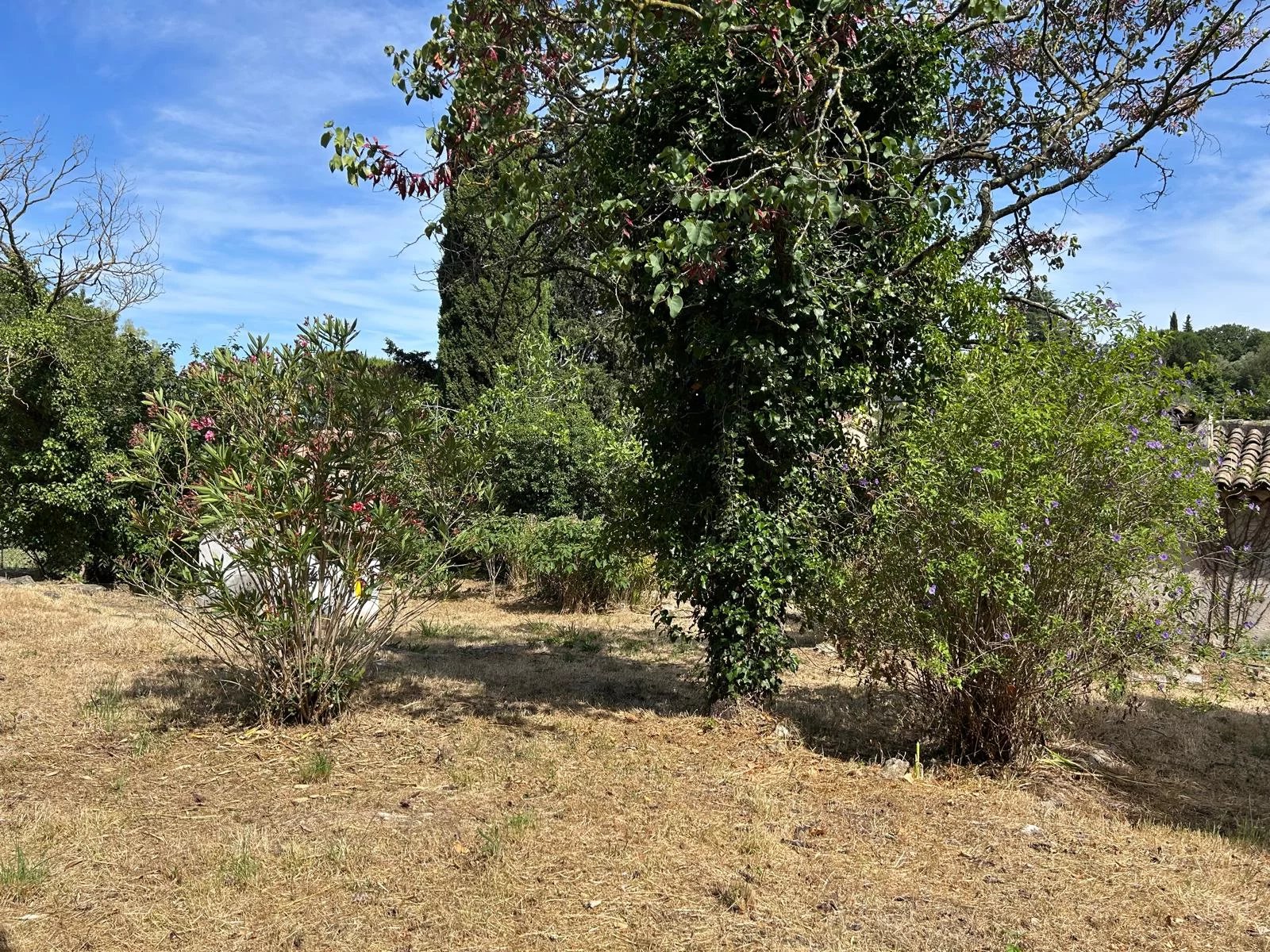 Plot with approved building permit within walking distance of the village of Valbonne. 14