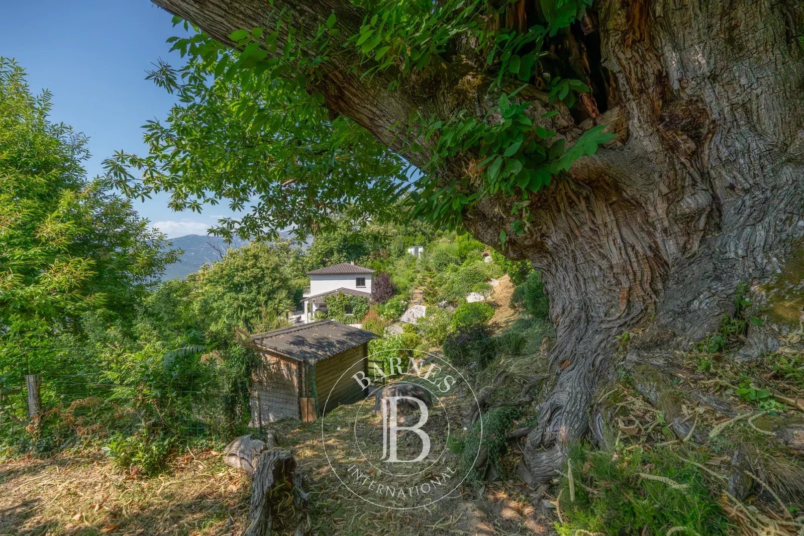 Ucciani, 3-Bedroom Villa with Panoramic Mountain Views - picture 6