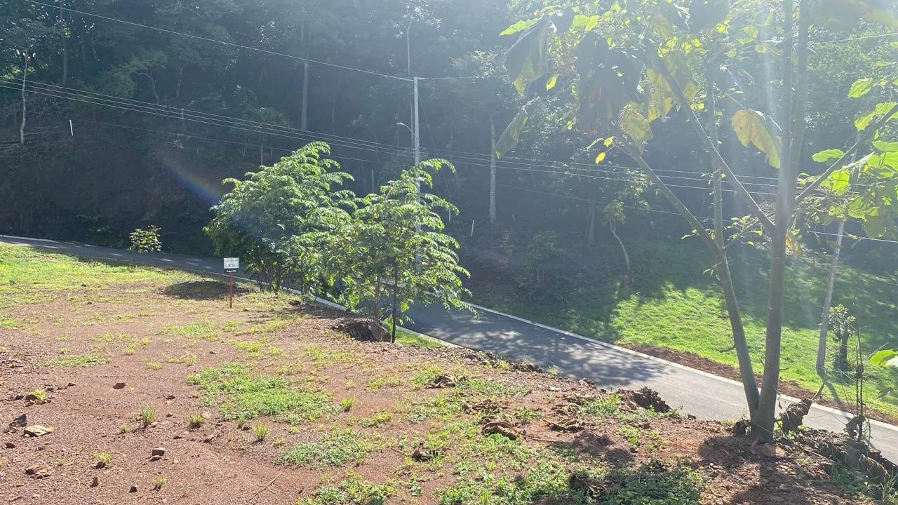 Venta Terreno Santa Cruz