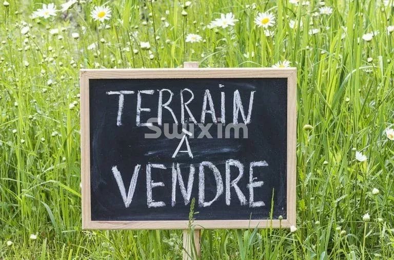 Agence immobilière de SWISS PLAN SAS