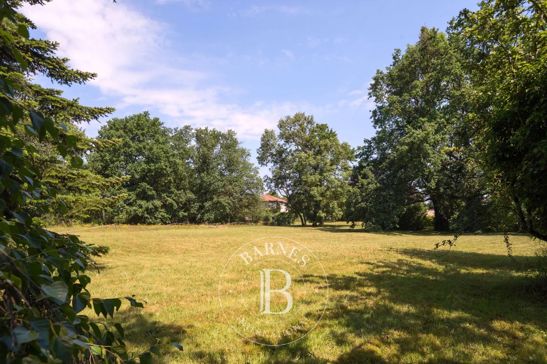 Arazi Écully - picture 8