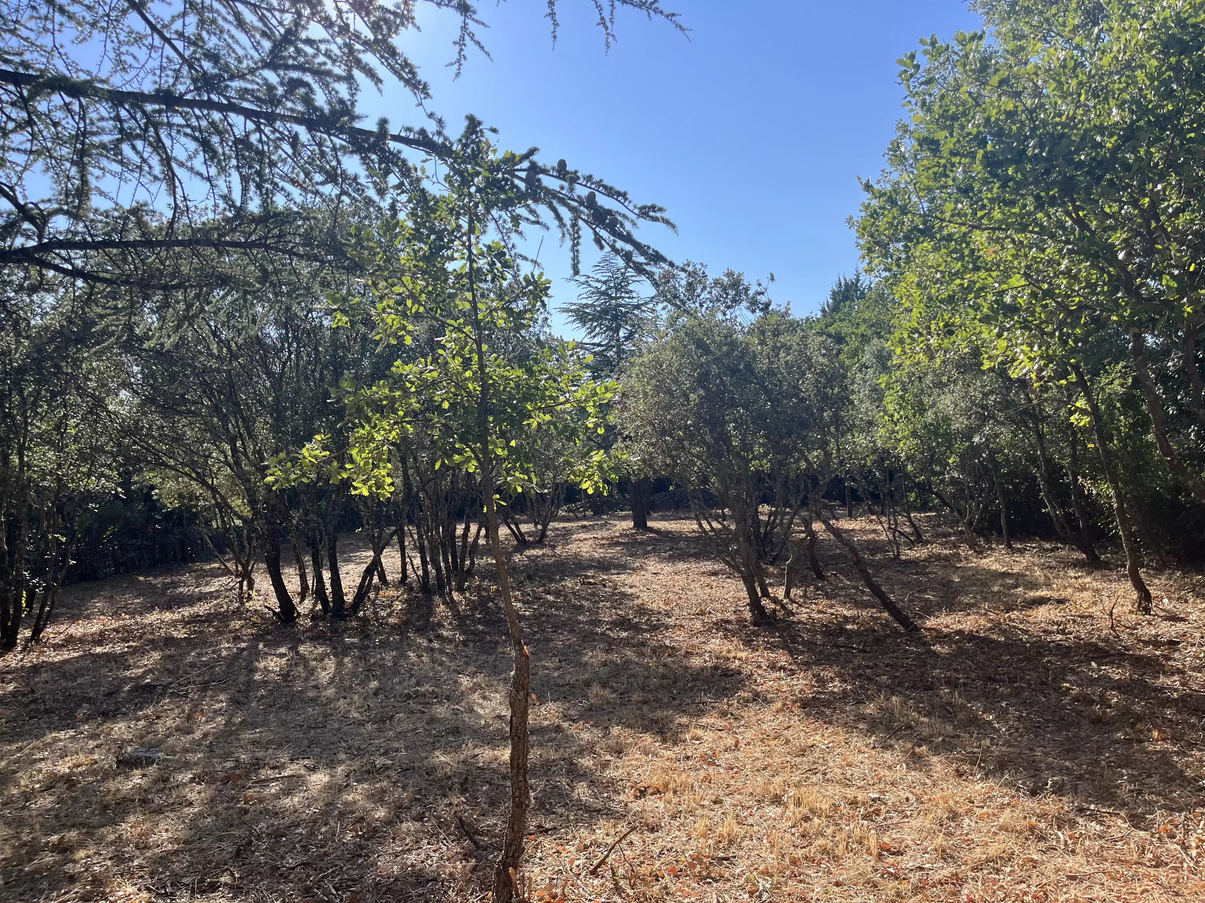 Terrain Constructible à Cabrières-d’Avignon