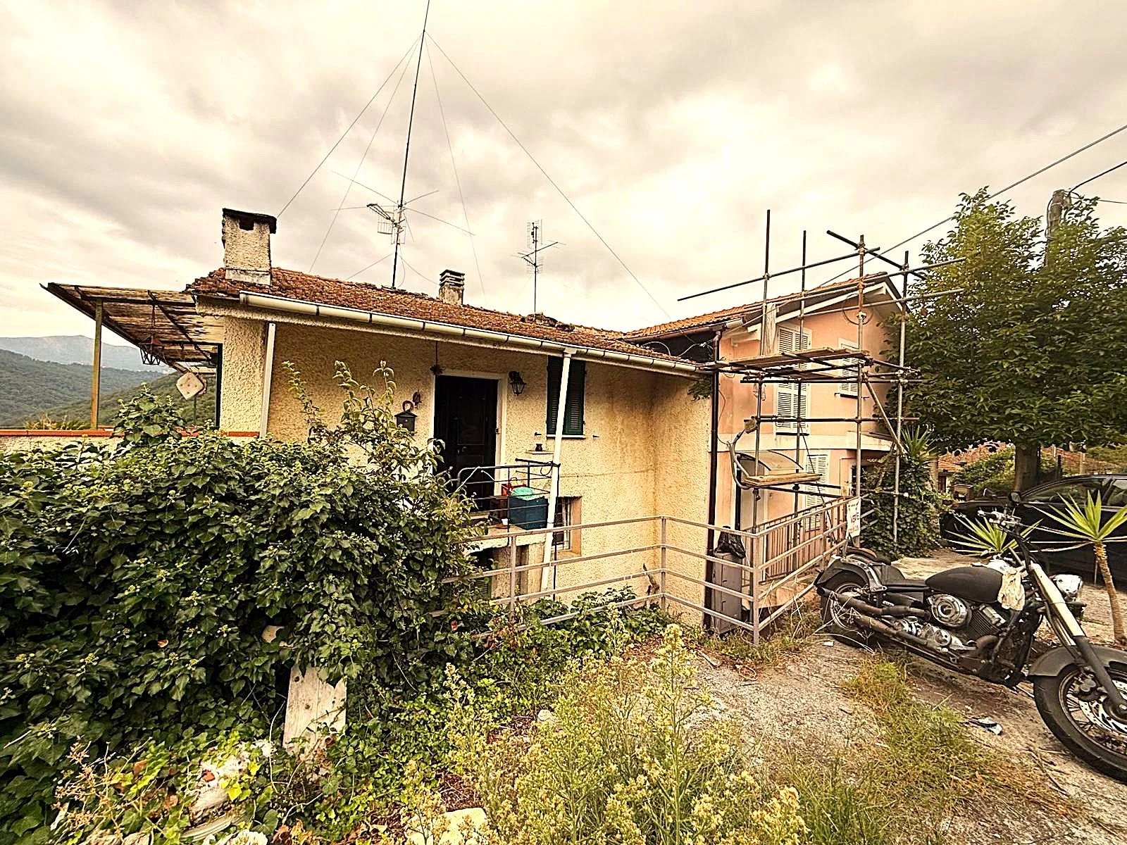 Agence immobilière de Royal House