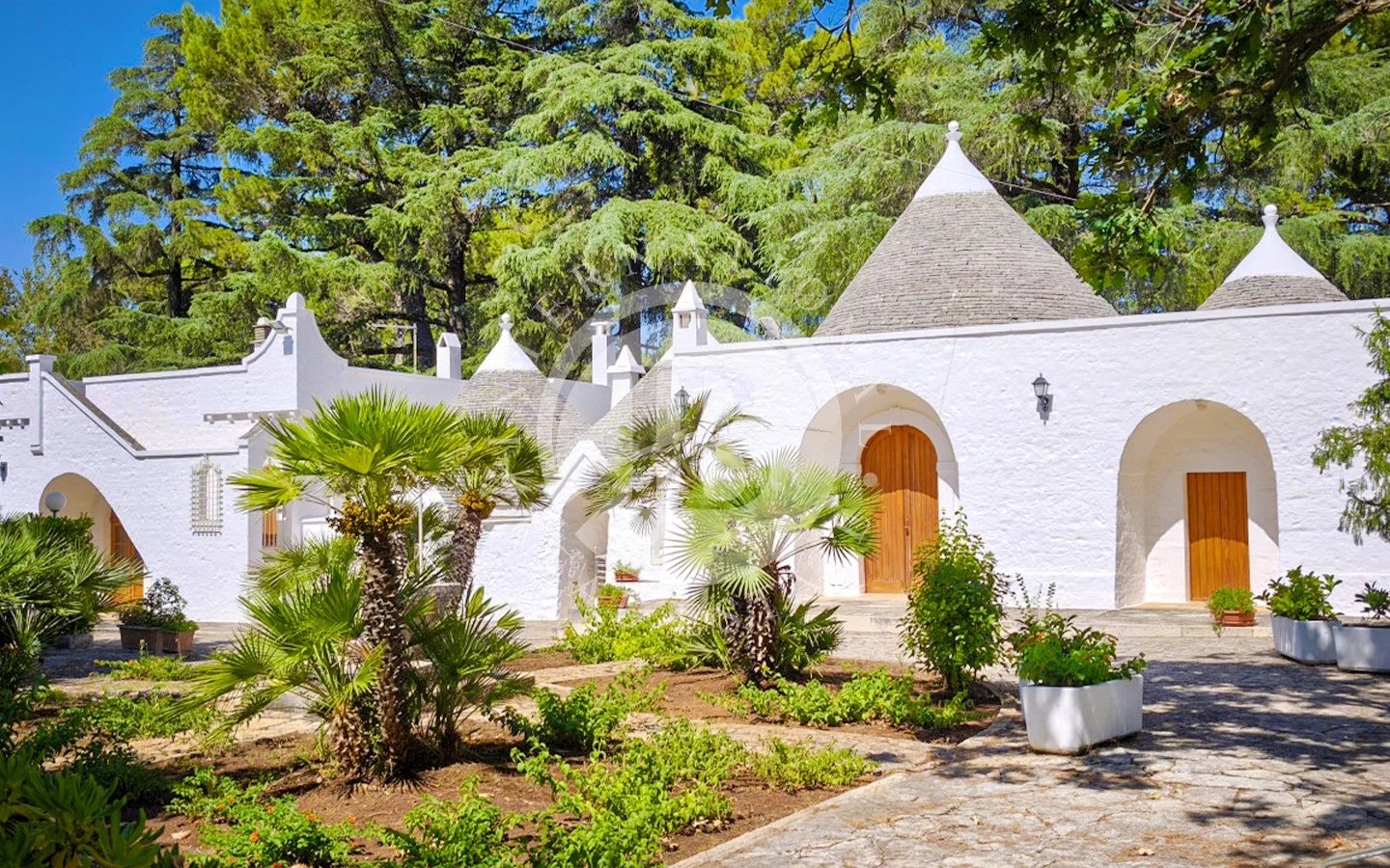 Villa in Fasano - view 1