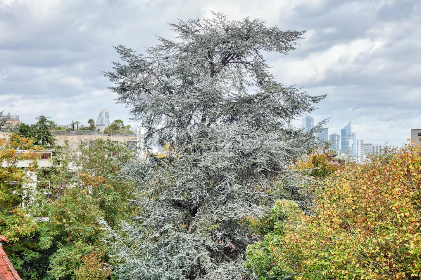 Saint-Cloud - LES COTEAUX