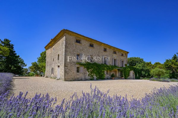 Domaine Rimbaud – Historic Provençal Bastide near Aix-en-Provence — photo 2