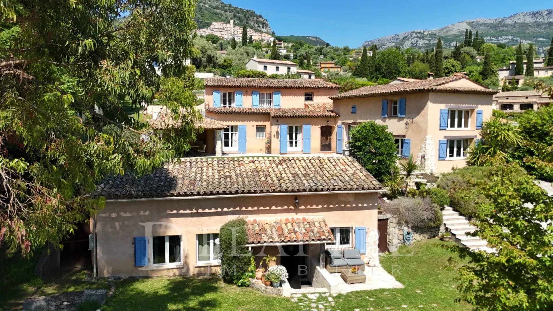 Le bar sur loup