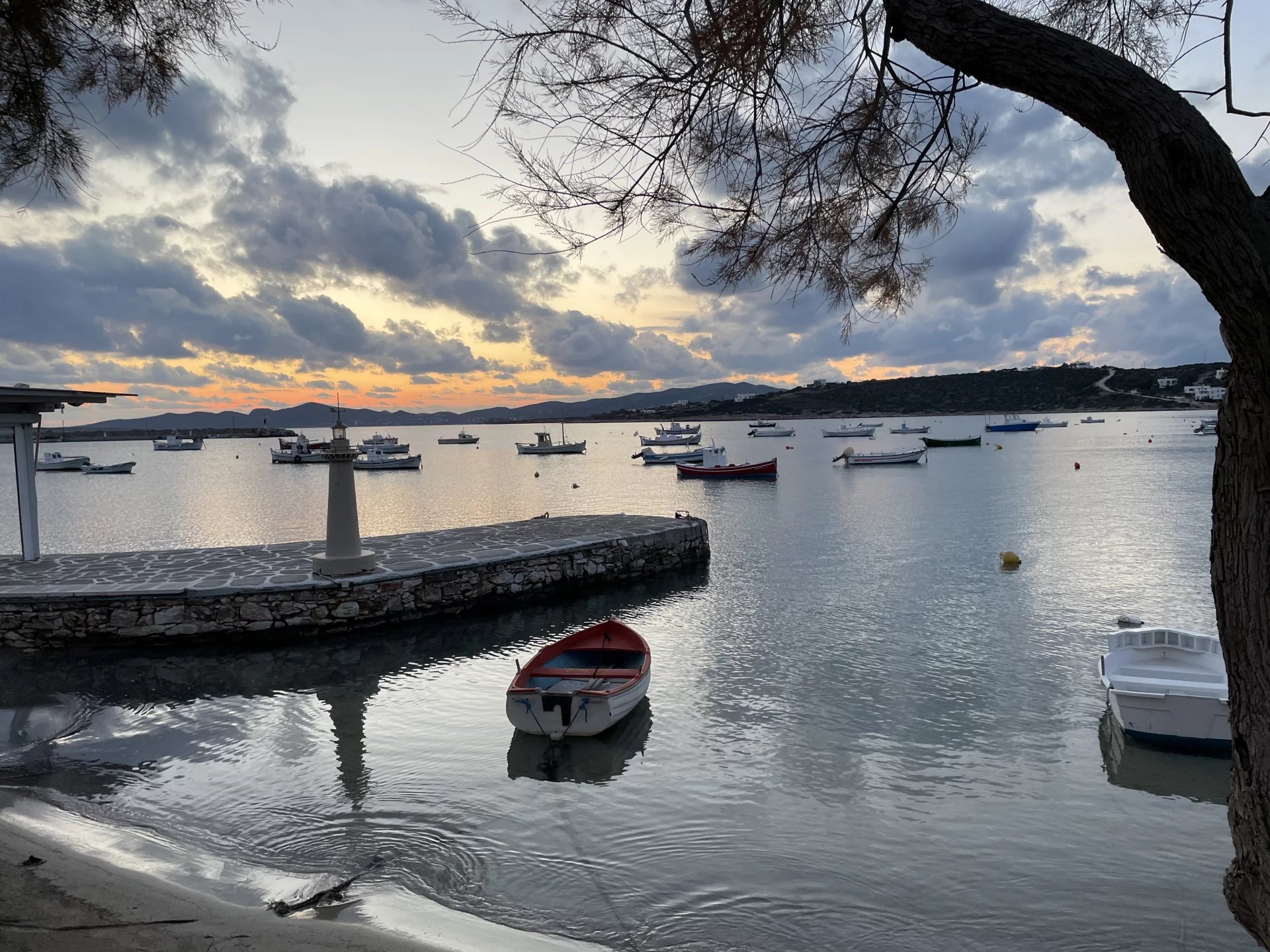 Image de la propriété 29