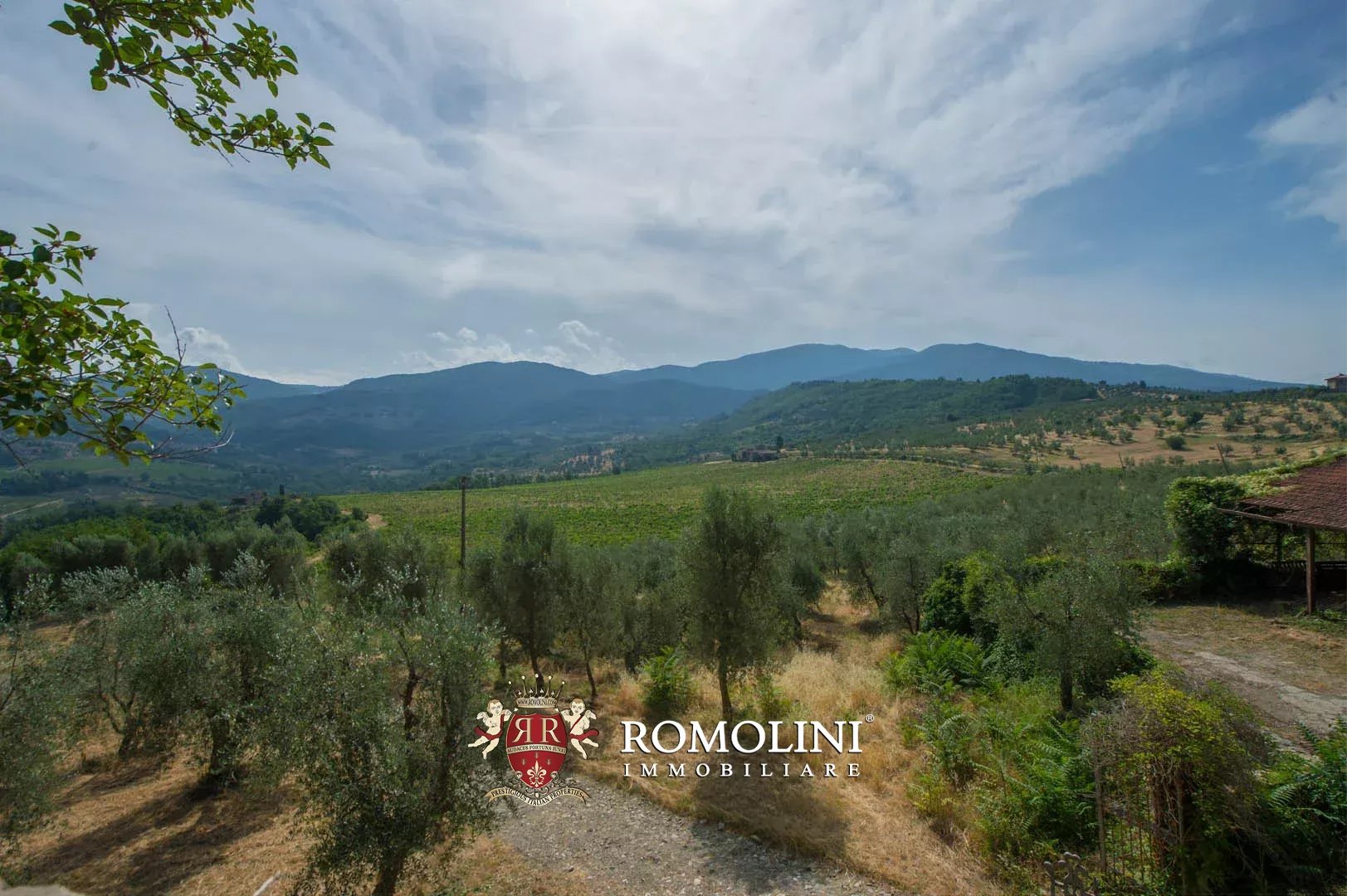 50 Bedroom Vineyard's Image 18
