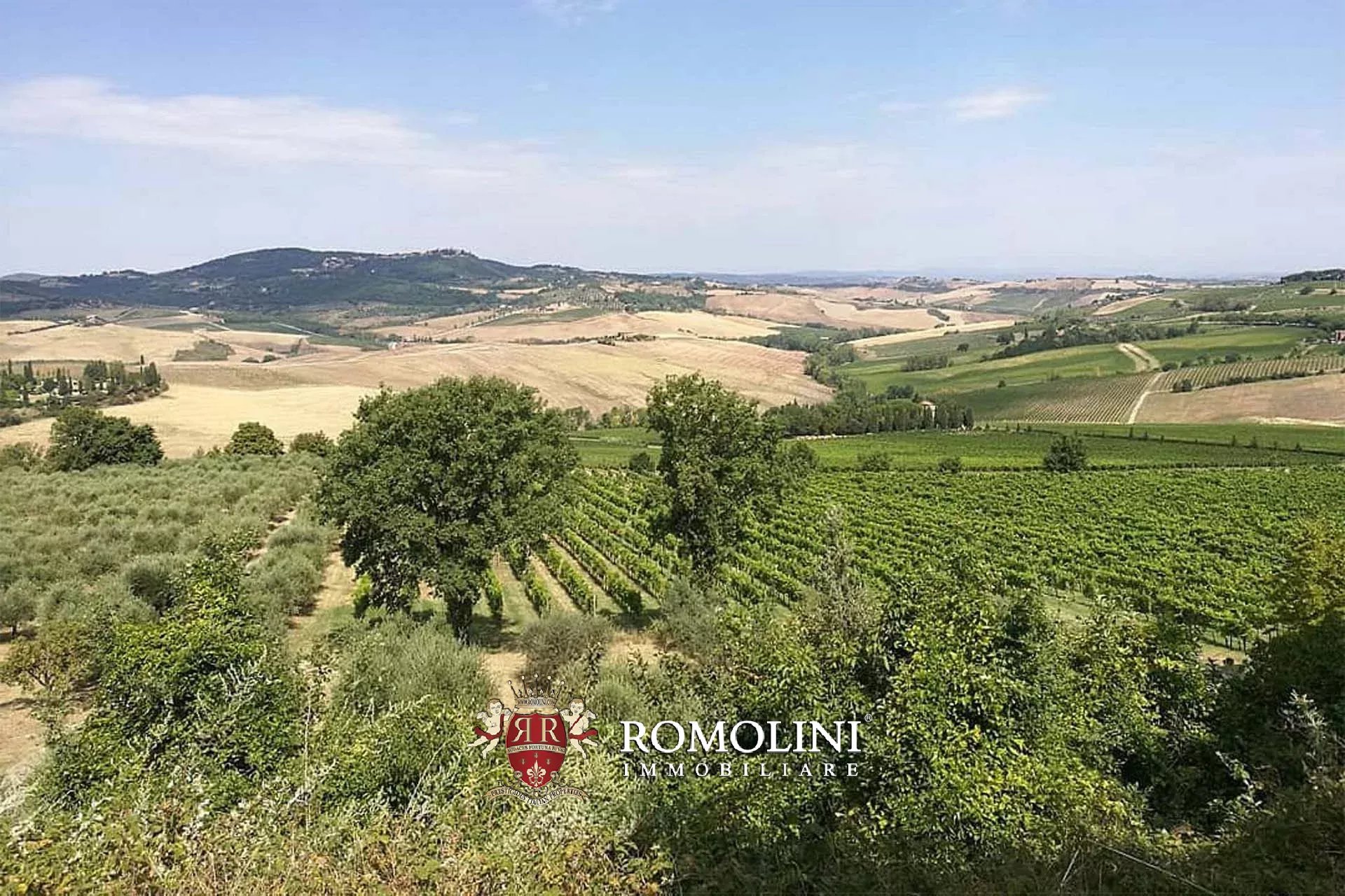 7 Bedroom Vineyard's Image 12