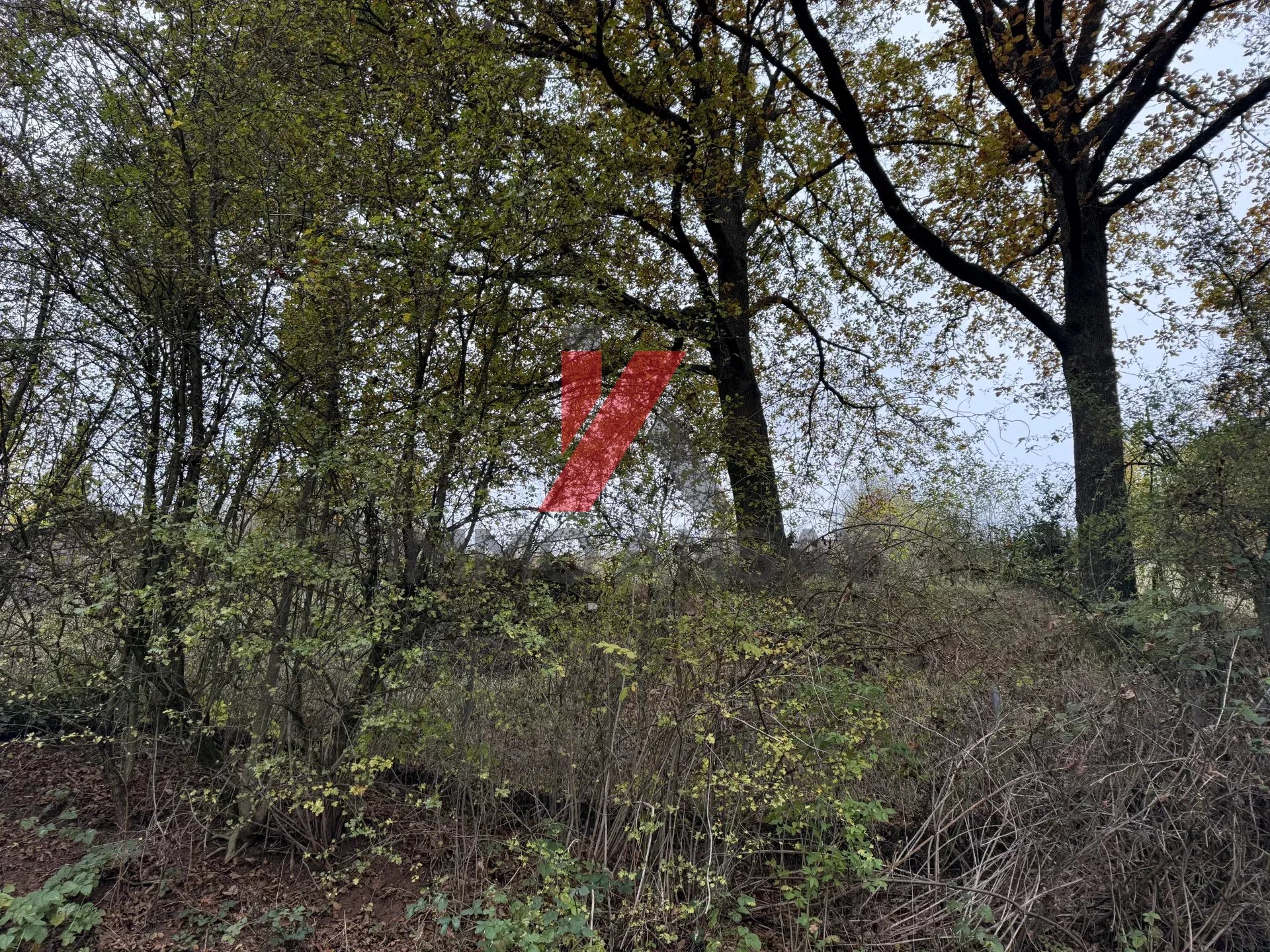 Verkauf Grundstück Bettendorf