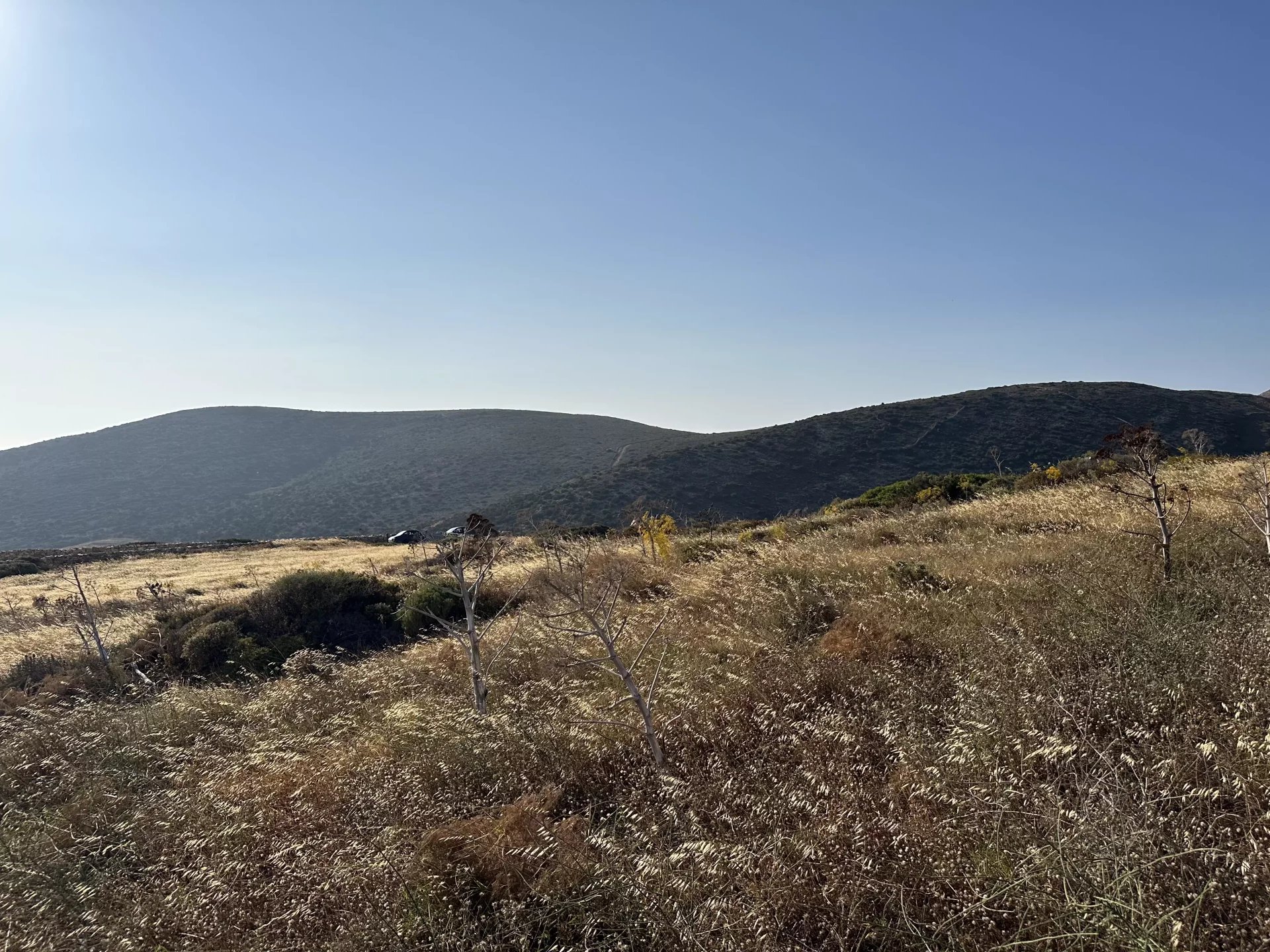 Εικόνα ιδιοκτησίας 12