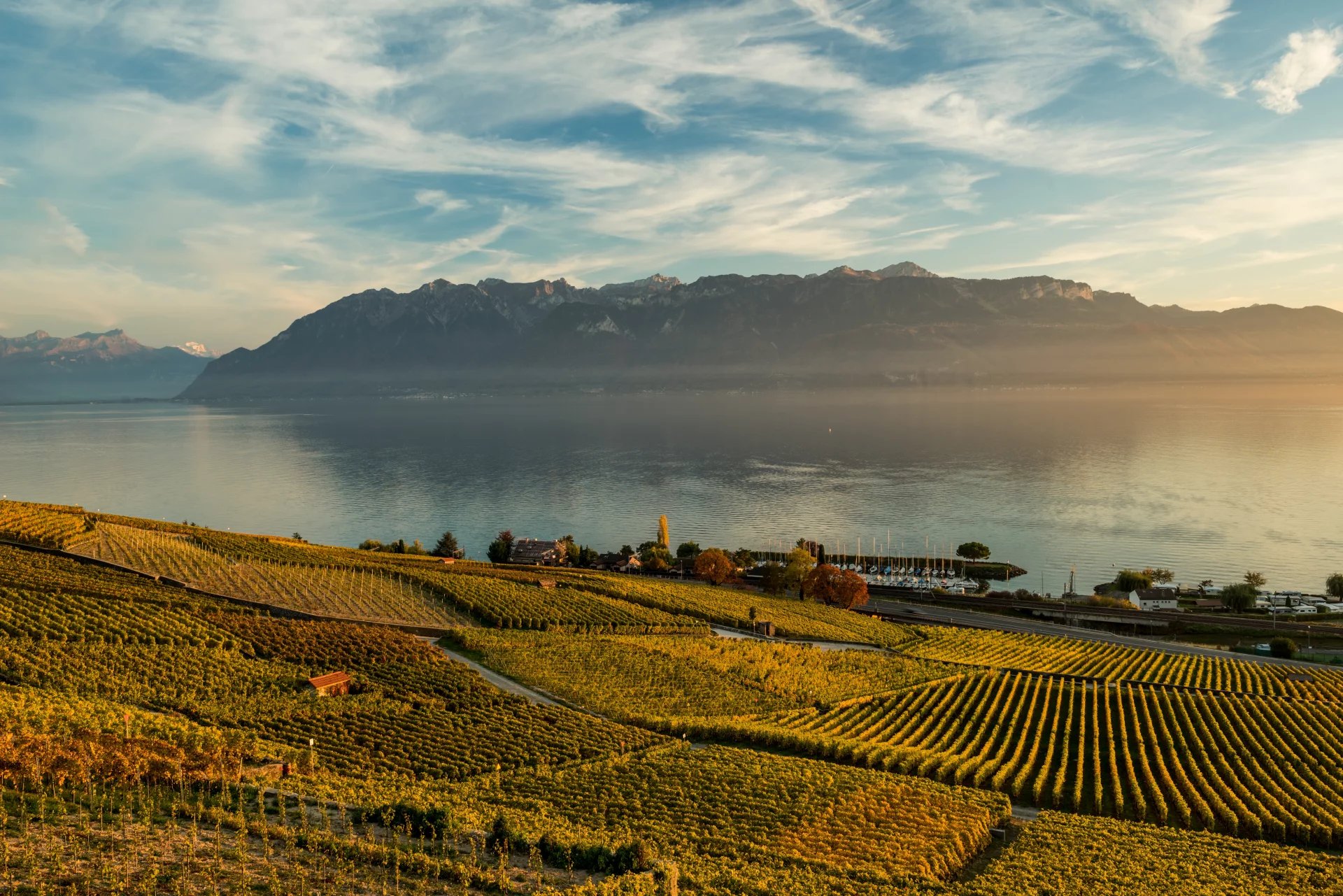 geneva,riviera,lac,spring,beautiful,mountain,lausanne,champagne,france,winery,landmark,french,alcohol,sky,glass,switzerland,swiss,drink,panorama,field,plant,hills,autumn,bunch,region,lake,wine,grapes,