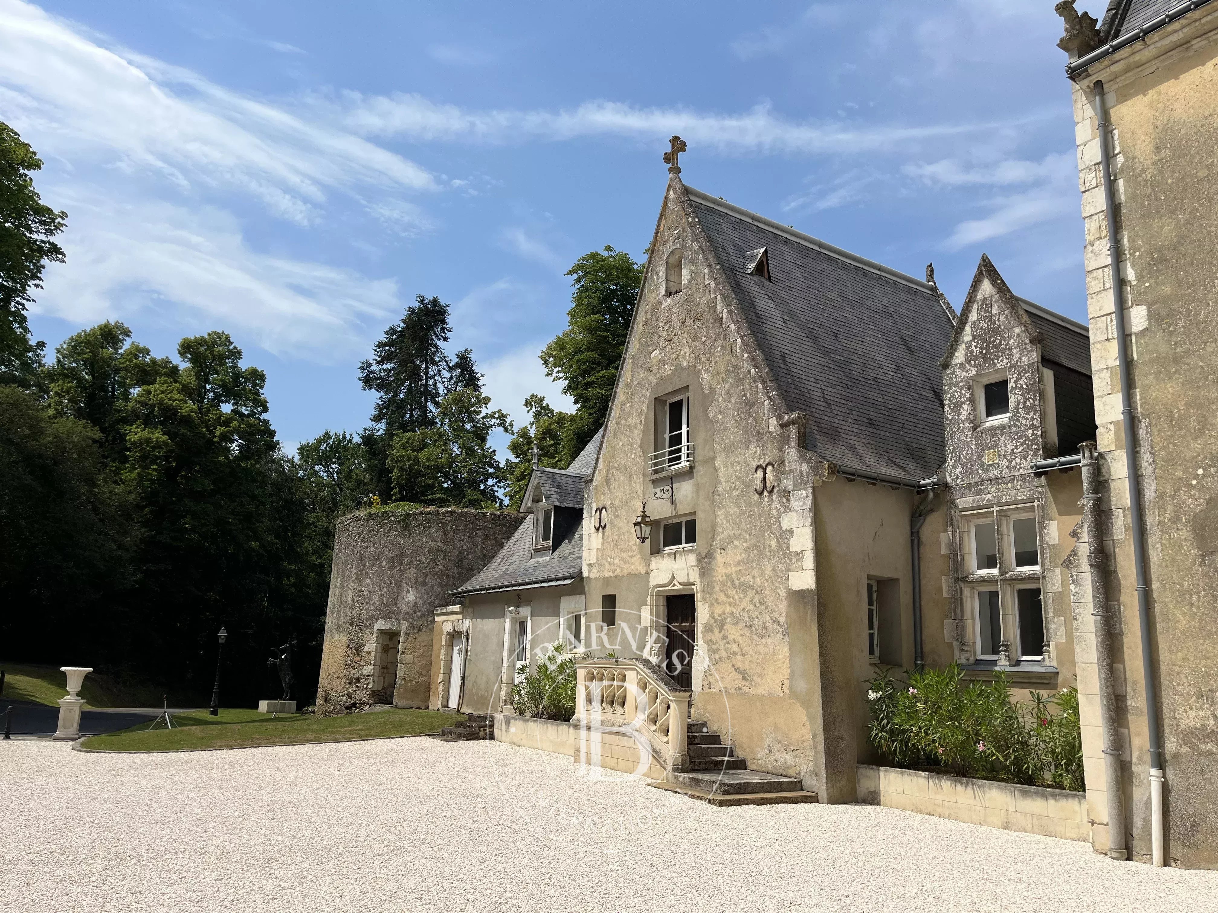 Château Château-du-Loir  -  ref 87117961 (picture 2)