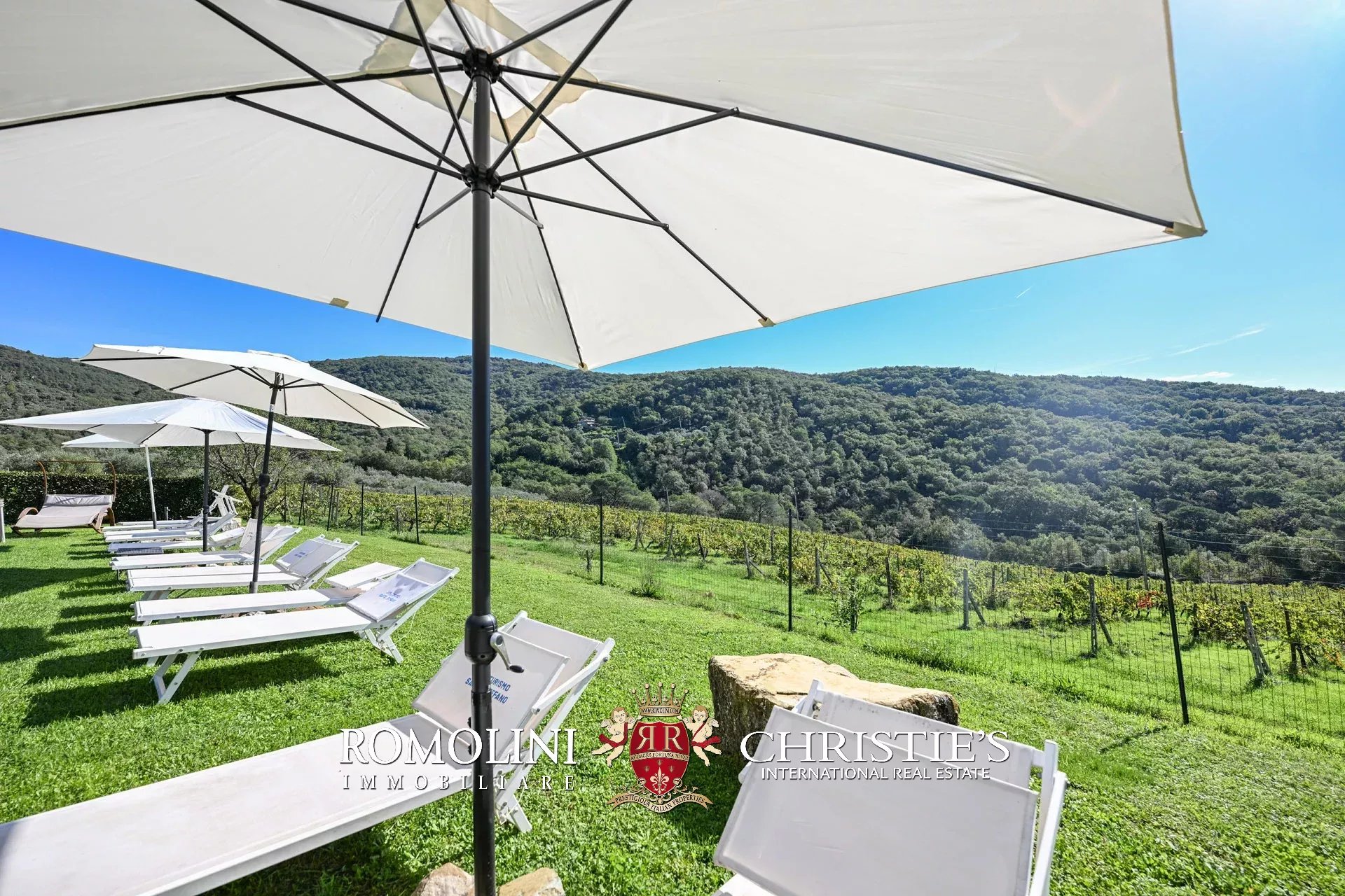 17 Bedroom Vineyard's Image 18