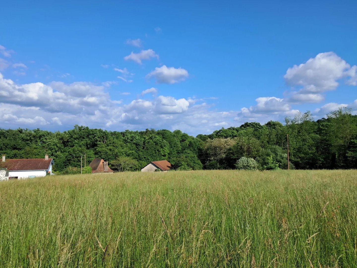 Vente Terrain Salles-Mongiscard