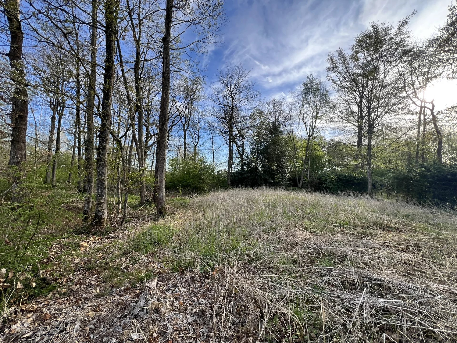 Vente Terrain Le Val-Doré
