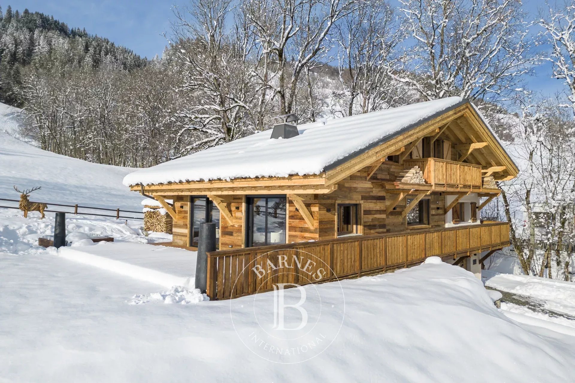 Dağ evi Megève - picture 14