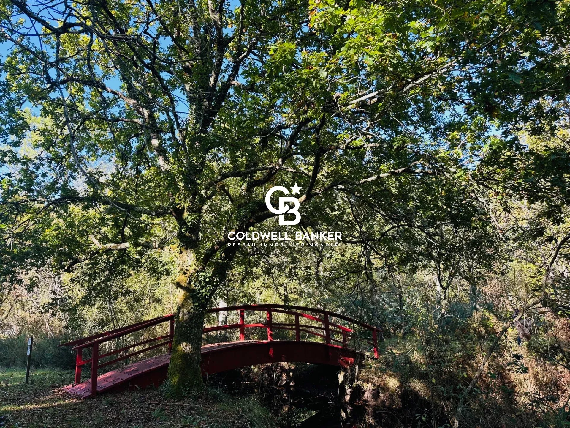 Agence immobilière de Bordeaux Premium