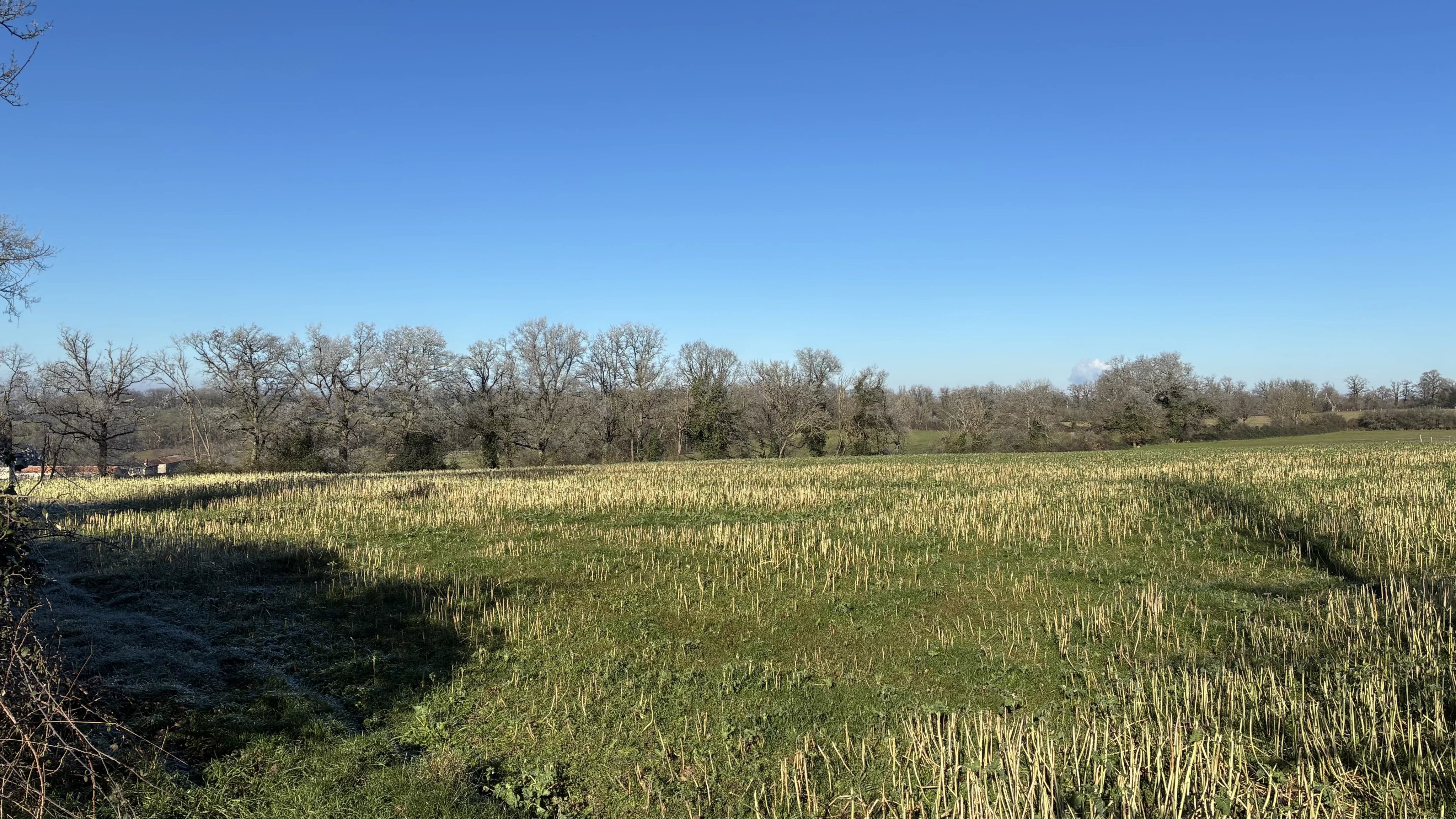 House in Availles-Limouzine - Image 2