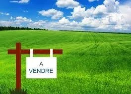 Seconde photo