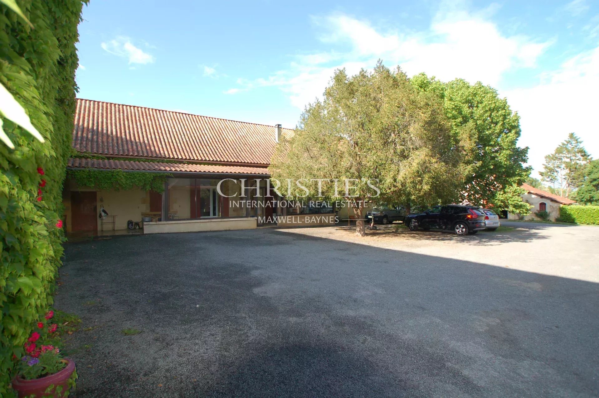 Vineyard's Image 3
