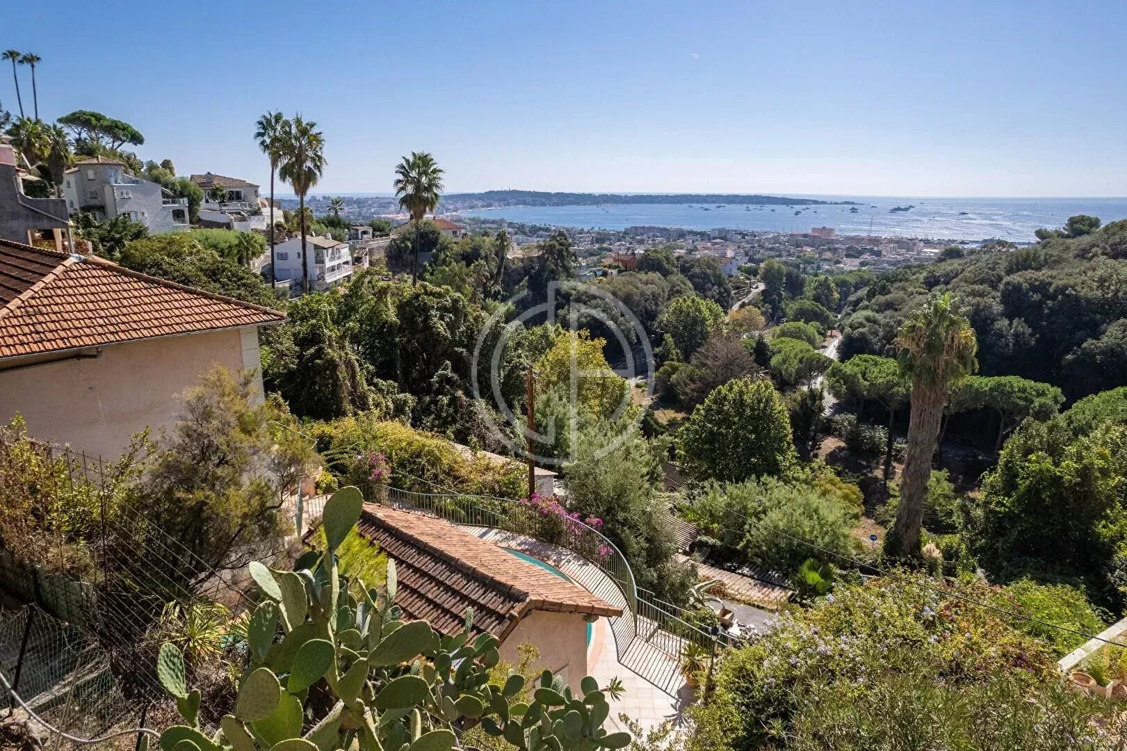 Agence immobilière de Collection d'Azur