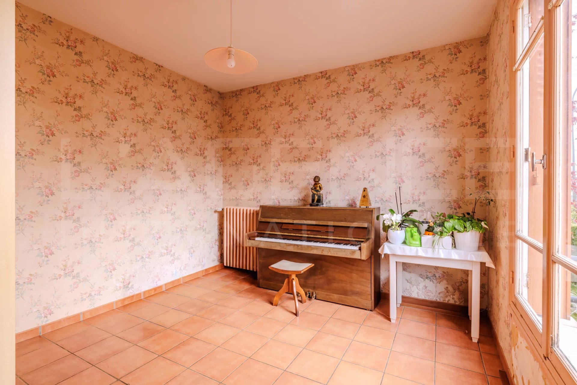 Image de la propriété 16