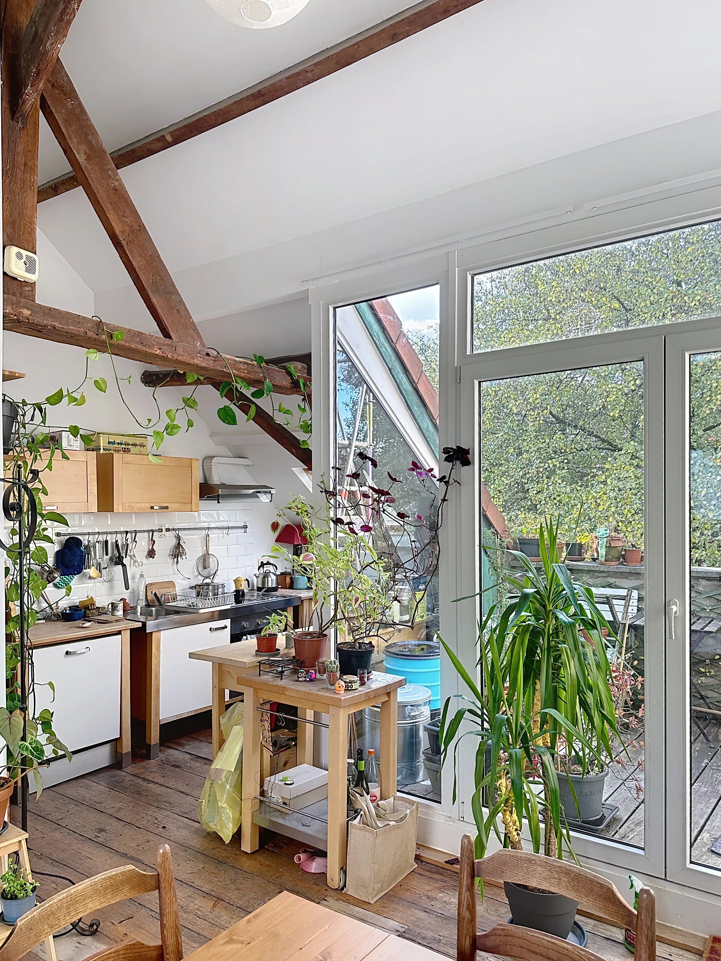 Charming small investment property.