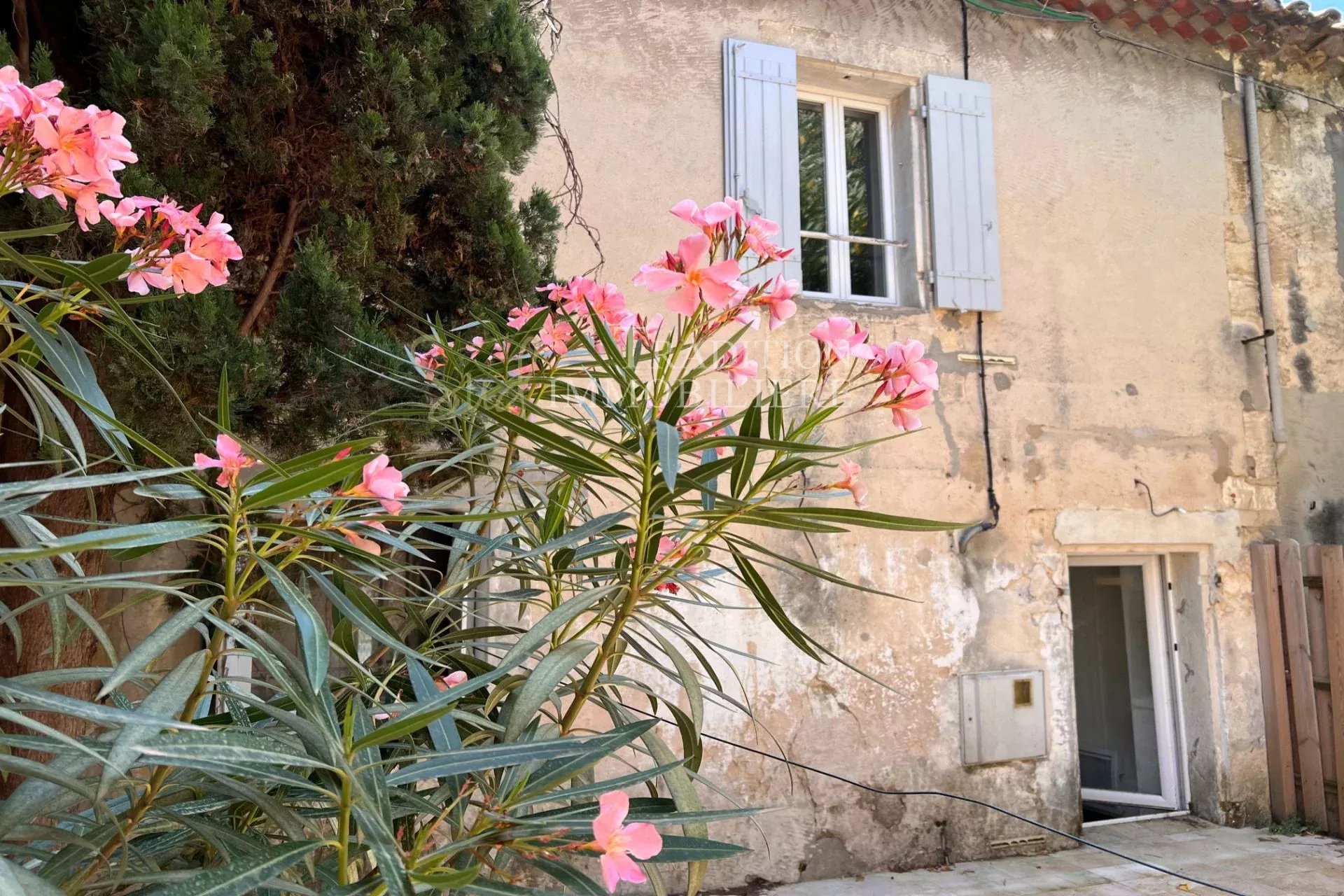 Agence immobilière de ZUNINO