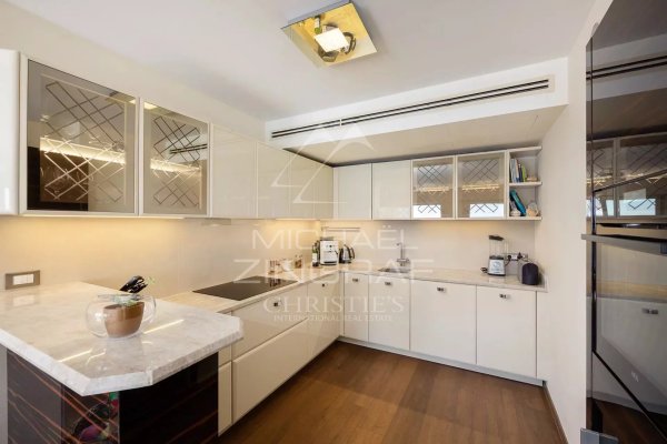 Penthouse duplex at the gates of Monaco with garden — photo 4