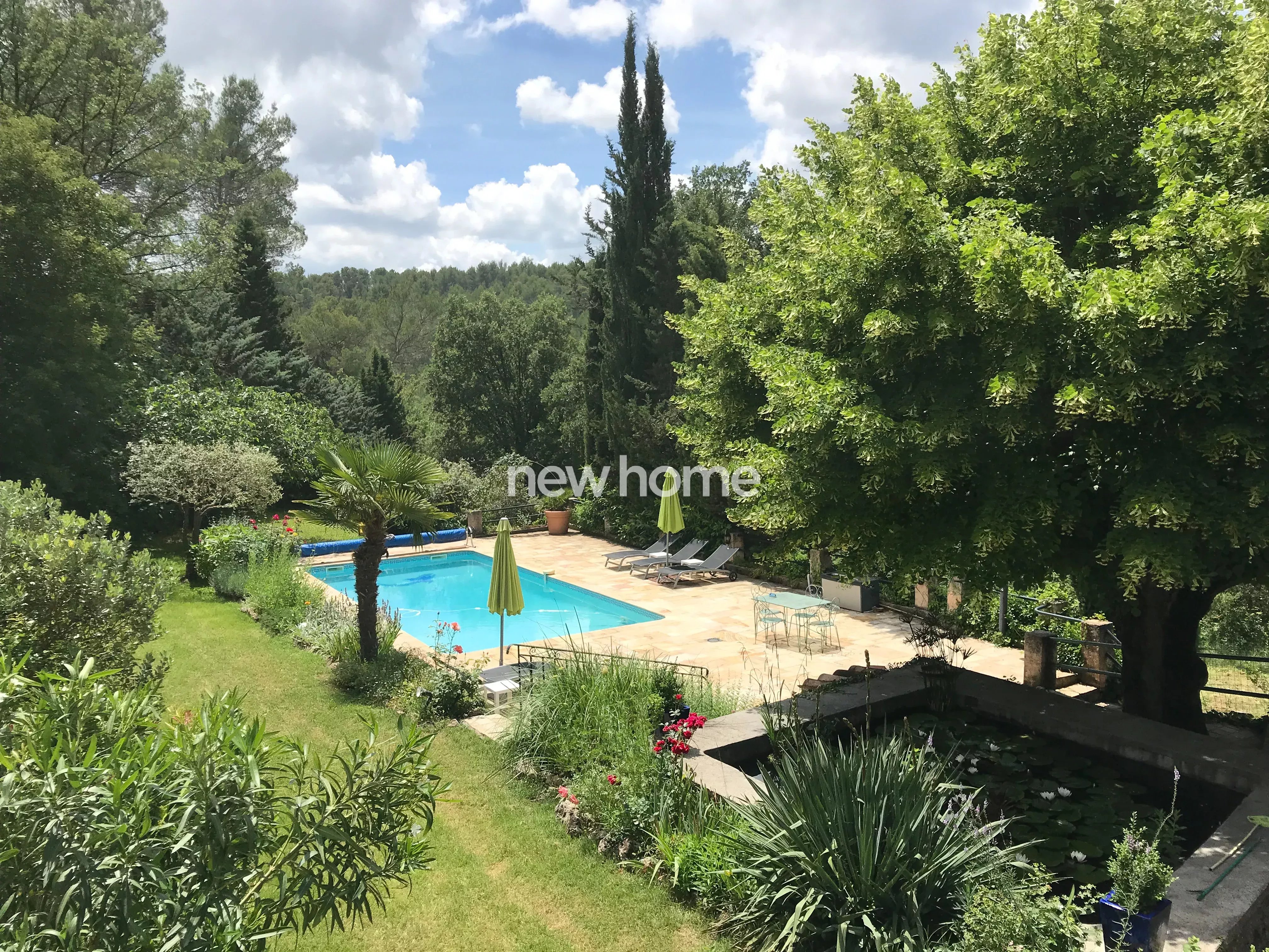 Belle propriété avec des oliviers et gîte indépendant