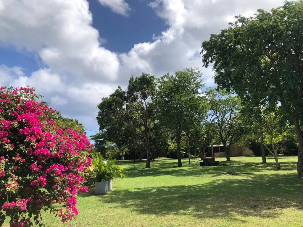 Yarı müstakil ev Grand Baie - picture 13