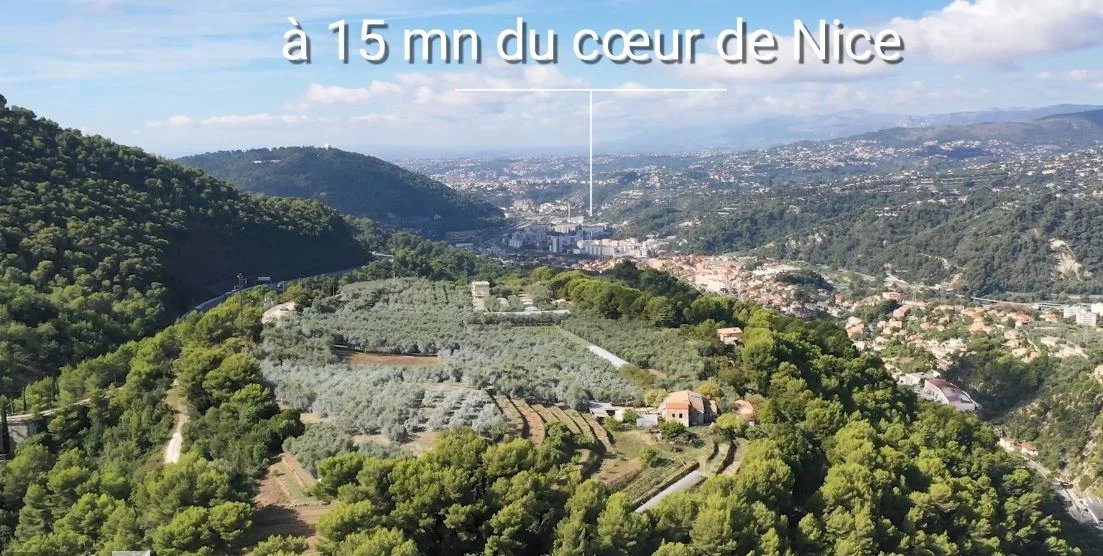 Vente domaine oléicole d'exception - Alpes-Maritimes