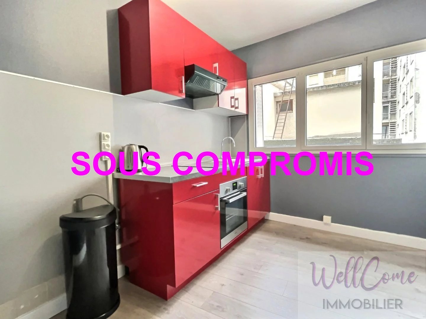 Aix Les Bains Centre Ville local / appartement 2 pièces + cave - activités professionnelle libérales autorisées