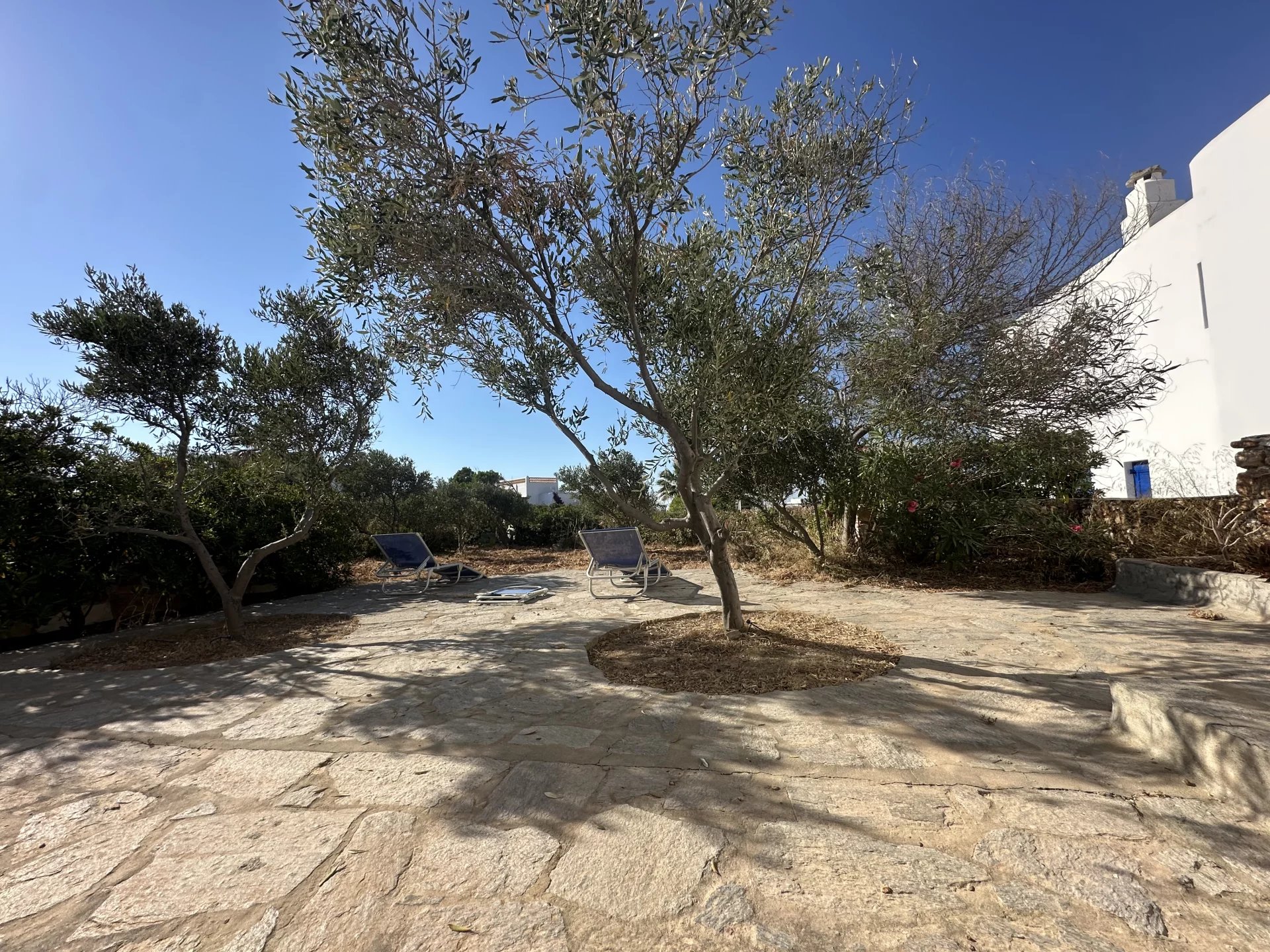 Image de la propriété 16