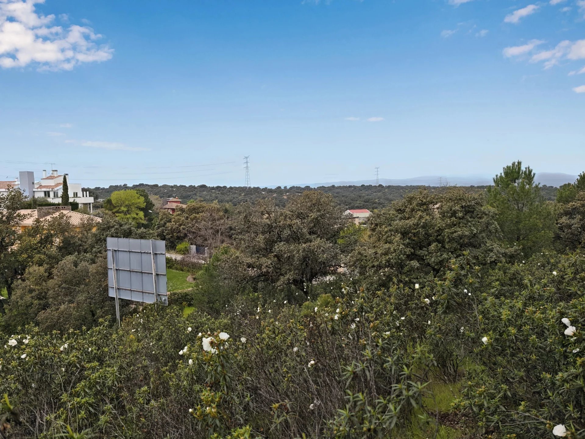 Vente Terrain Ciudalcampo